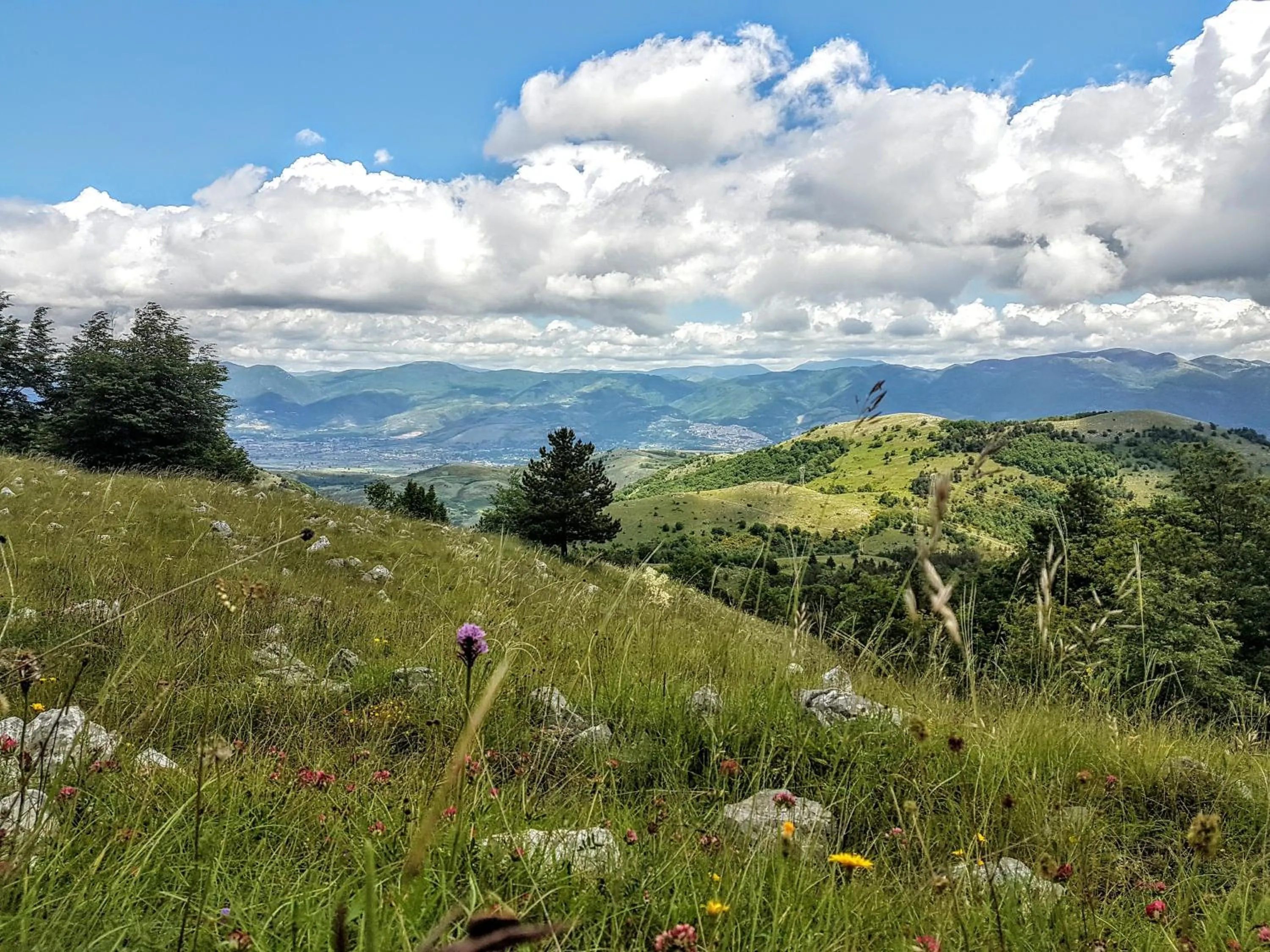 Cycling in Magic Hotel