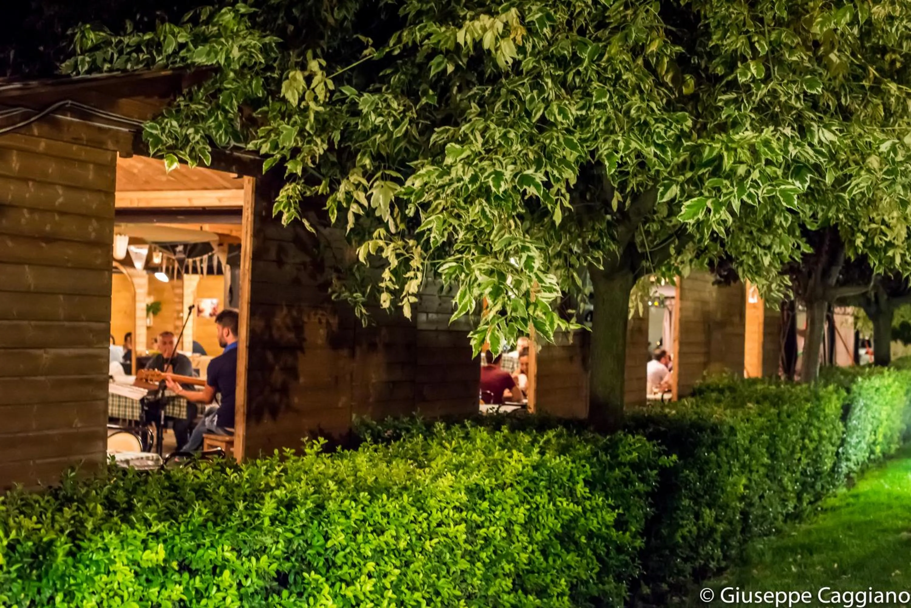 Garden in Magic Hotel