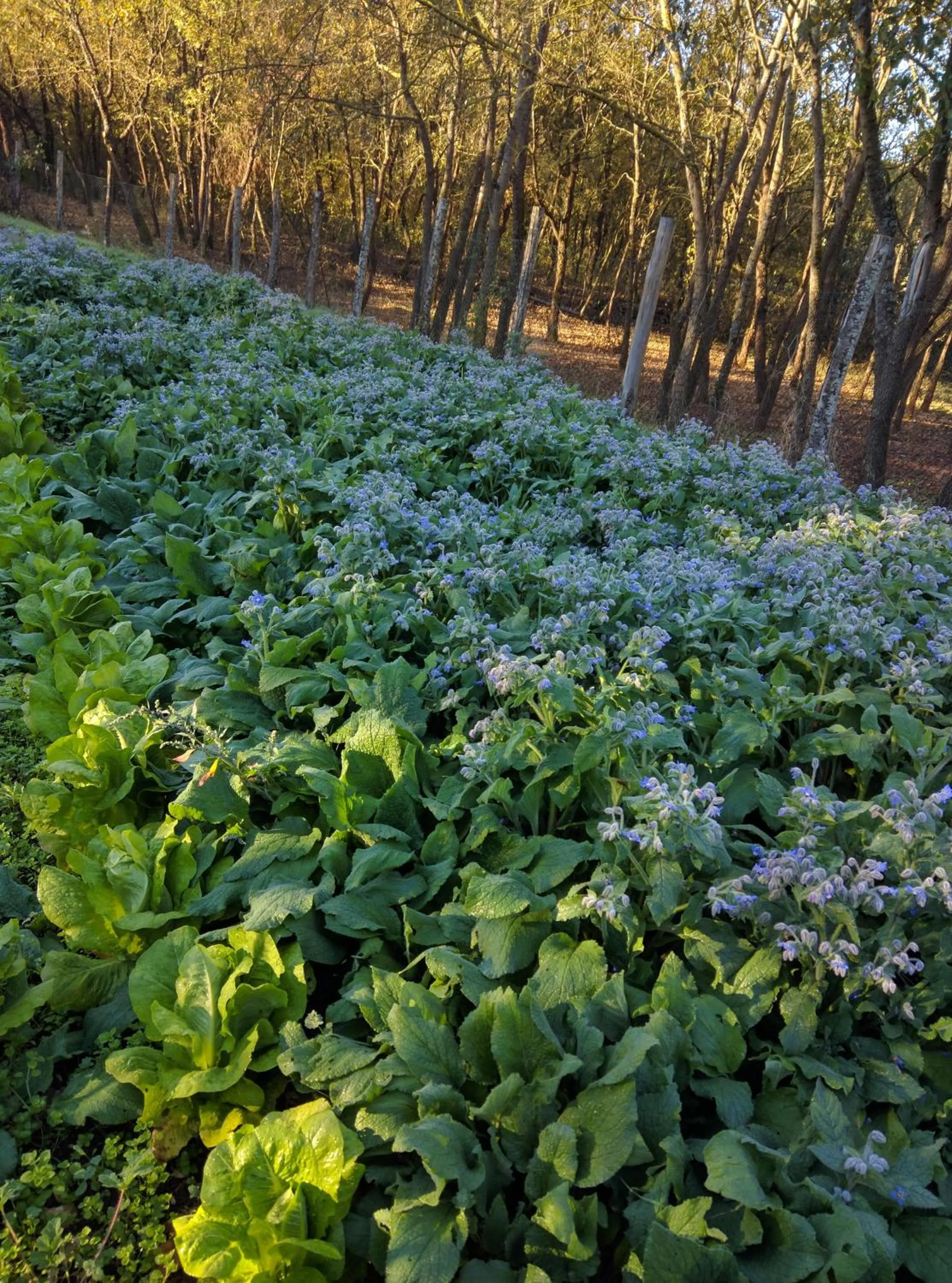 Other in Osteria Della Posta