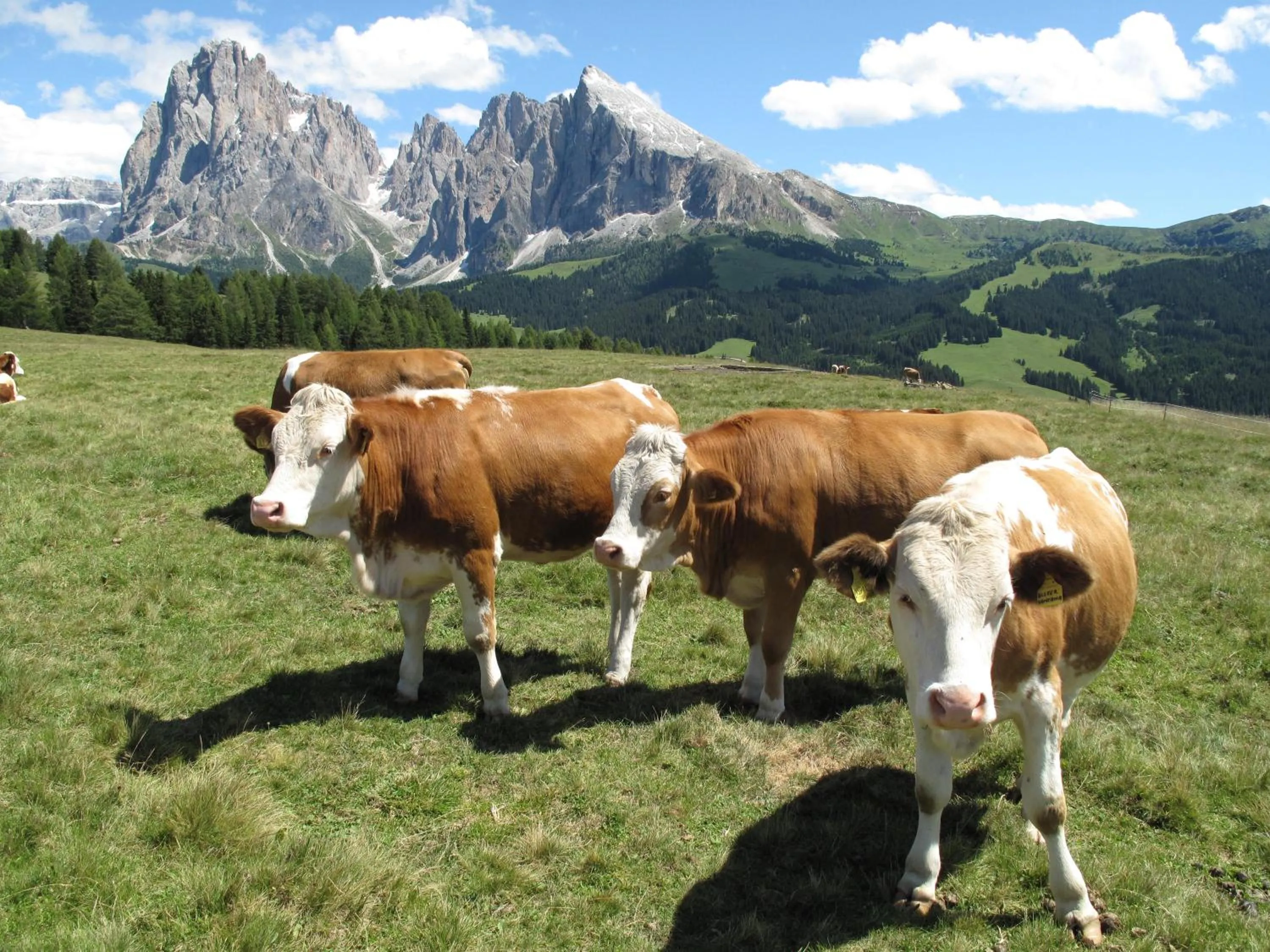 Hotel Talblick