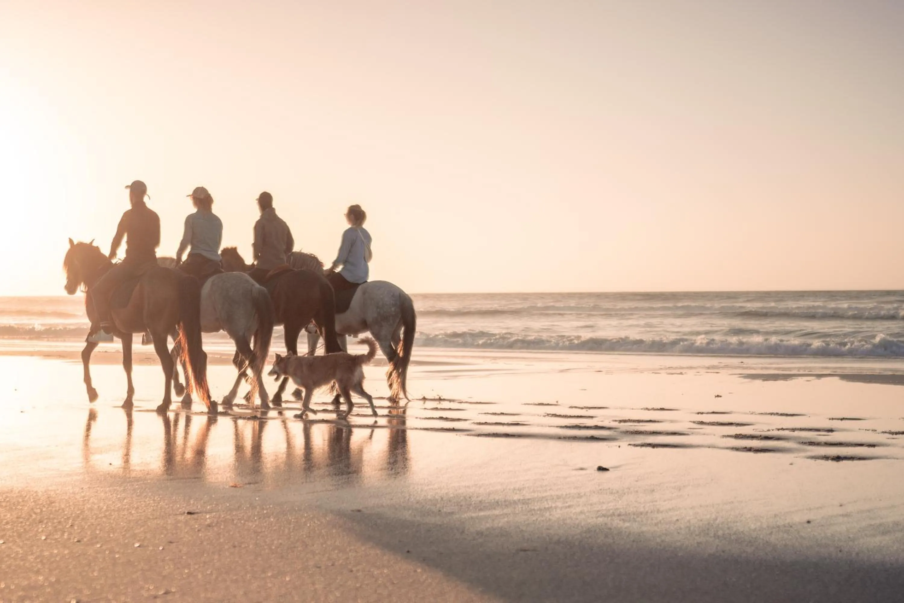 Beach in La Crique Nature & Spa