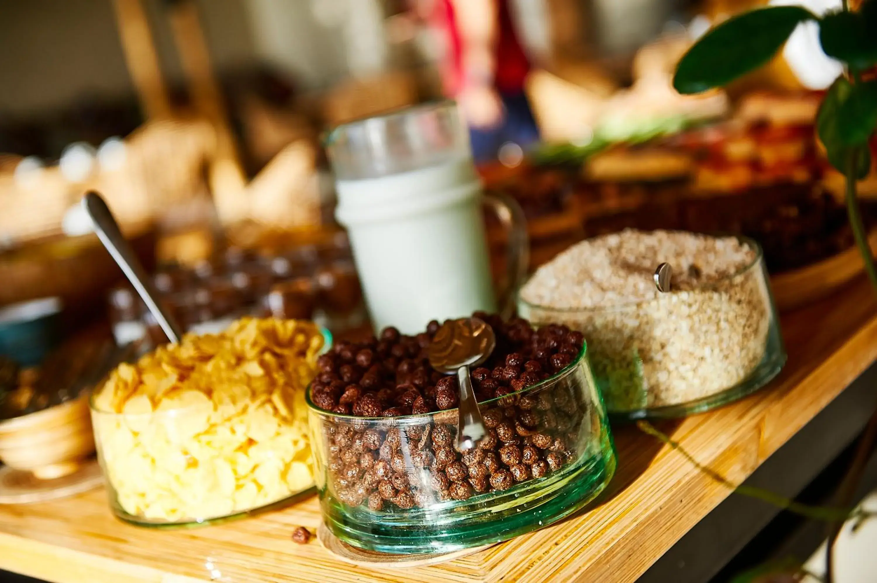 Breakfast in La Crique Nature & Spa Breakfast in La Crique Nature & Spa