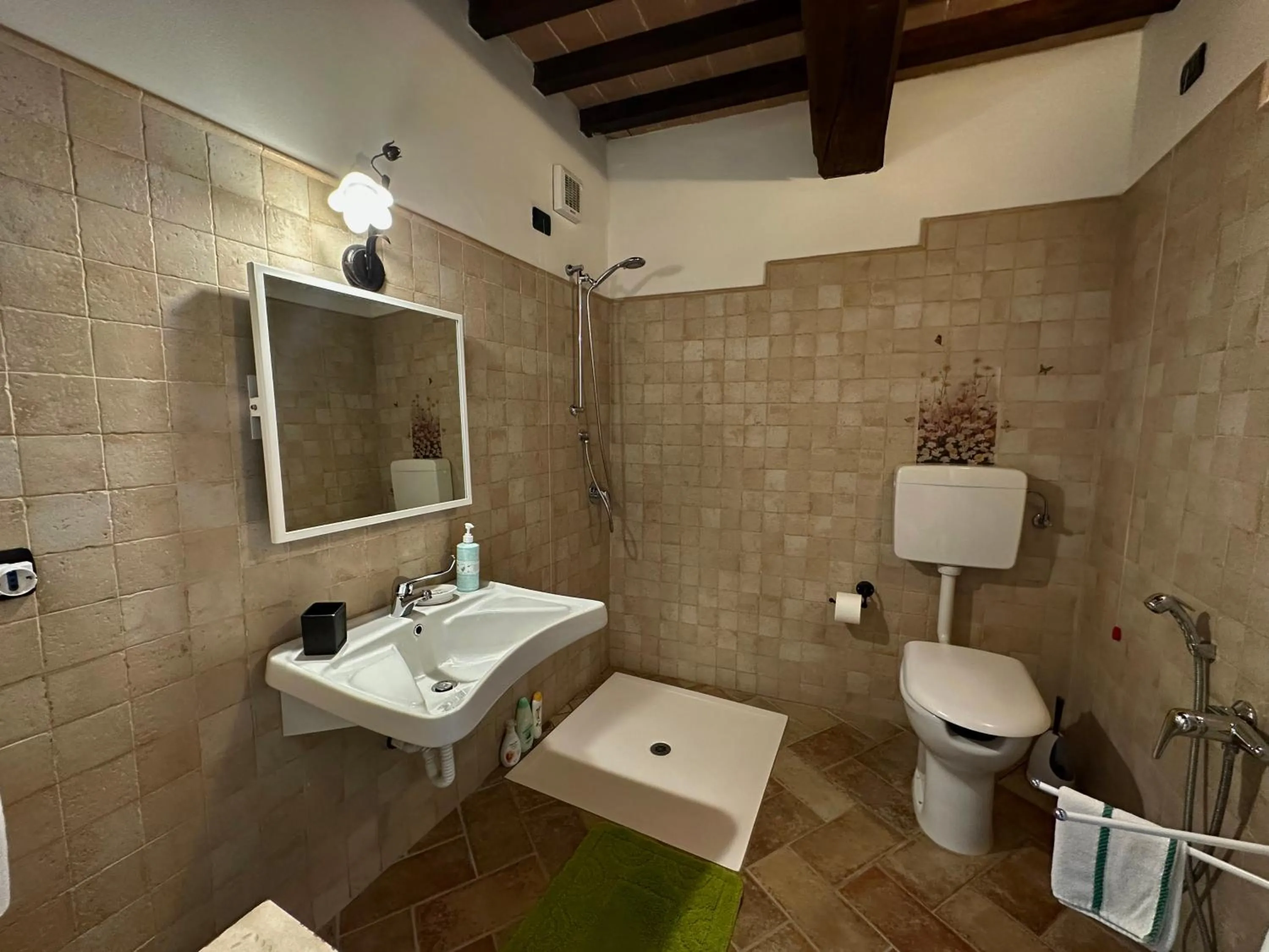Shower in B&B Madonna Del Latte