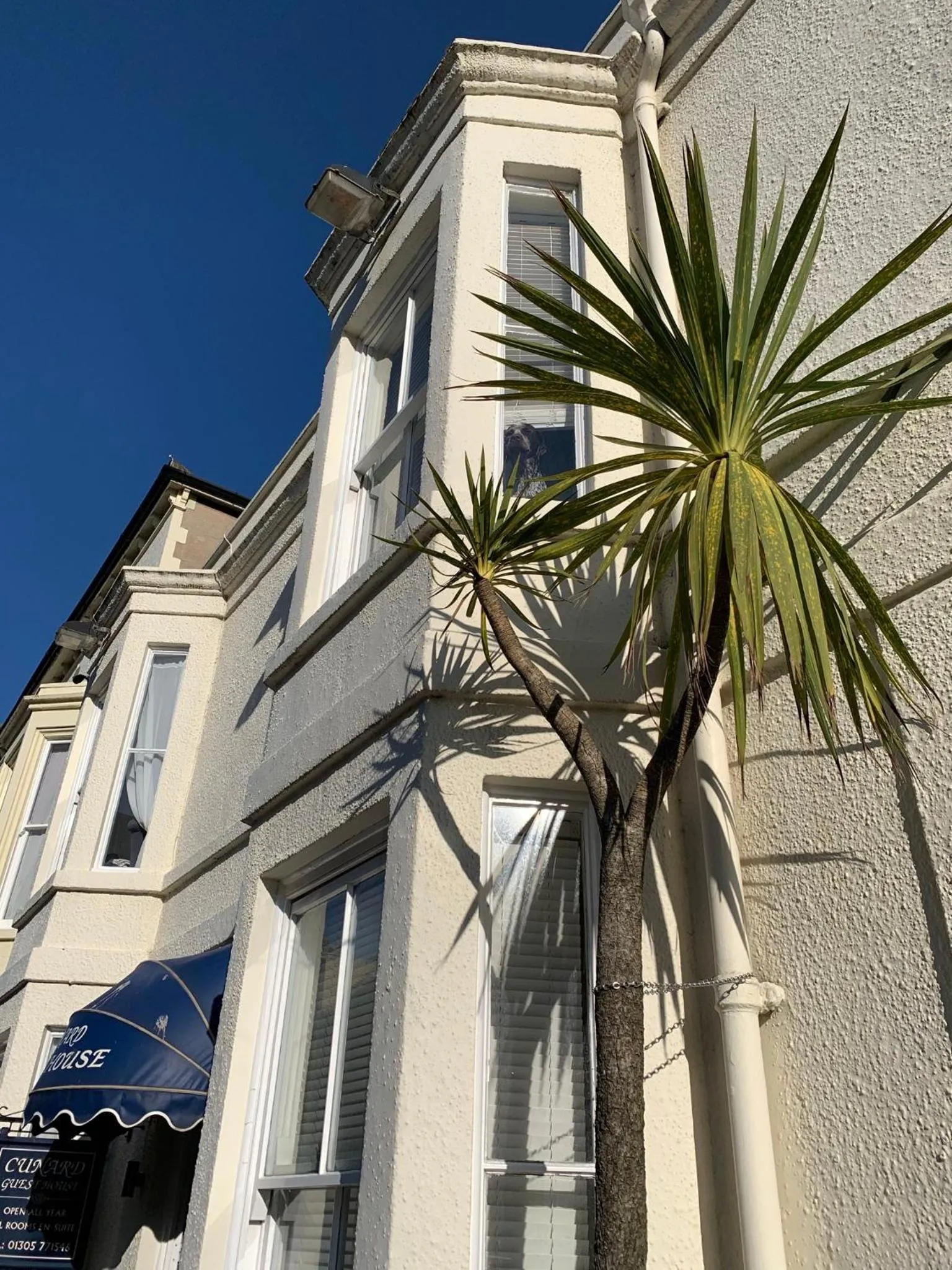 Cunard Guest House