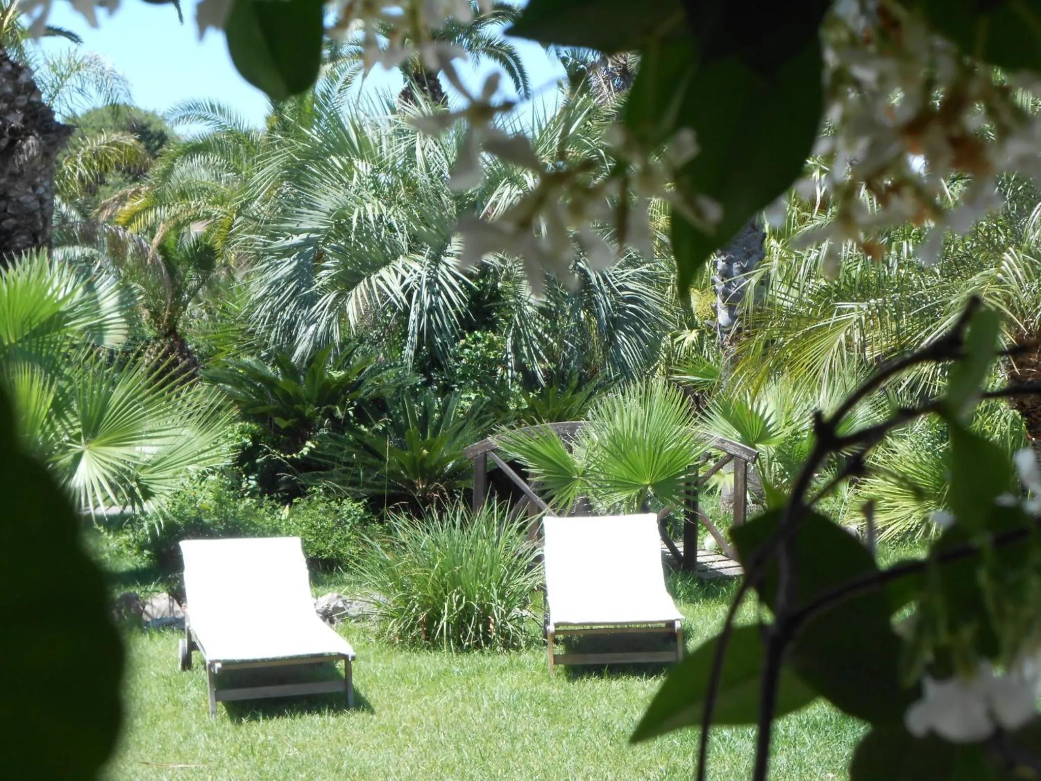 Garden in All'Ombra del Palmeto