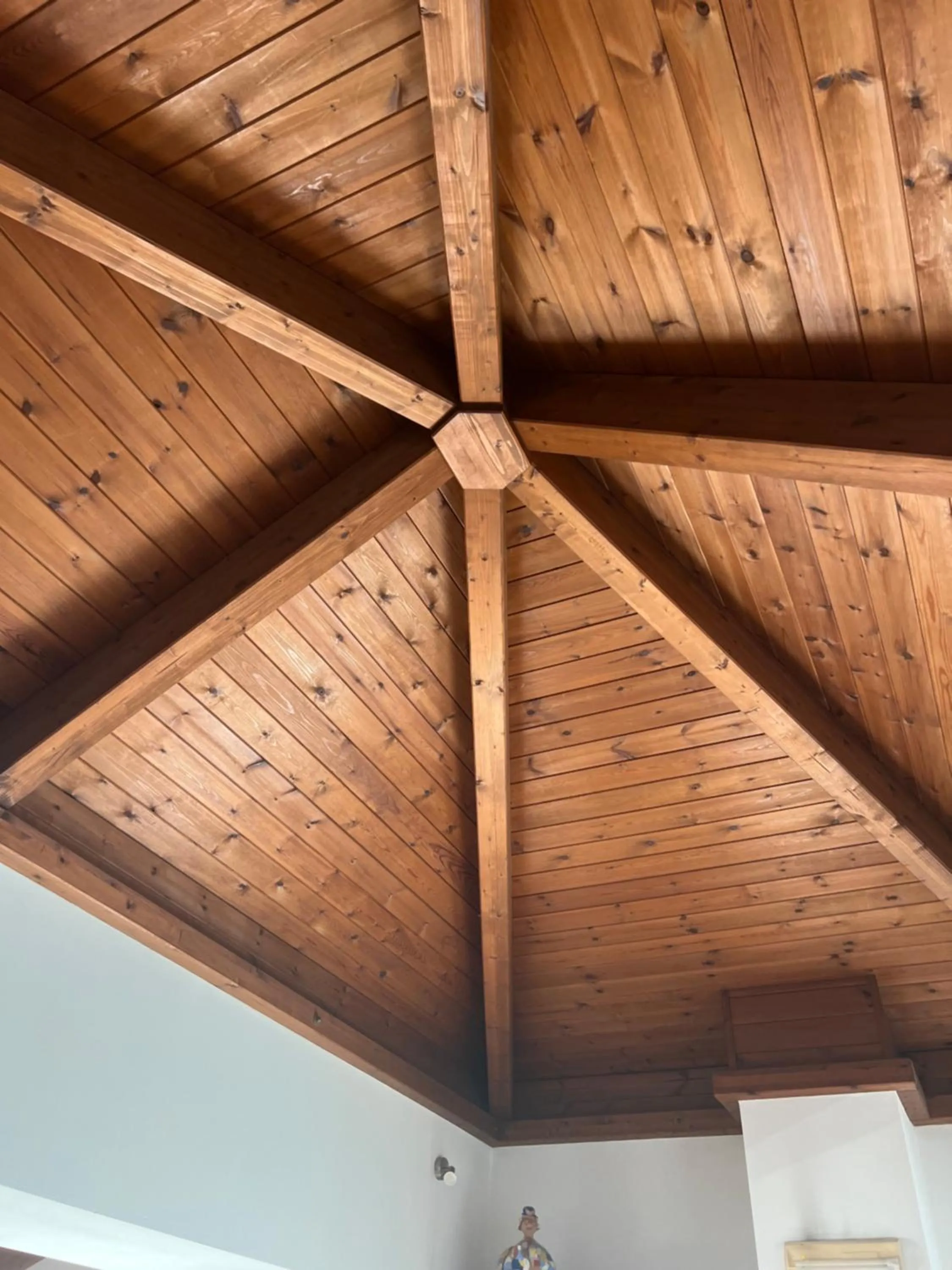 All'Ombra del Palmeto