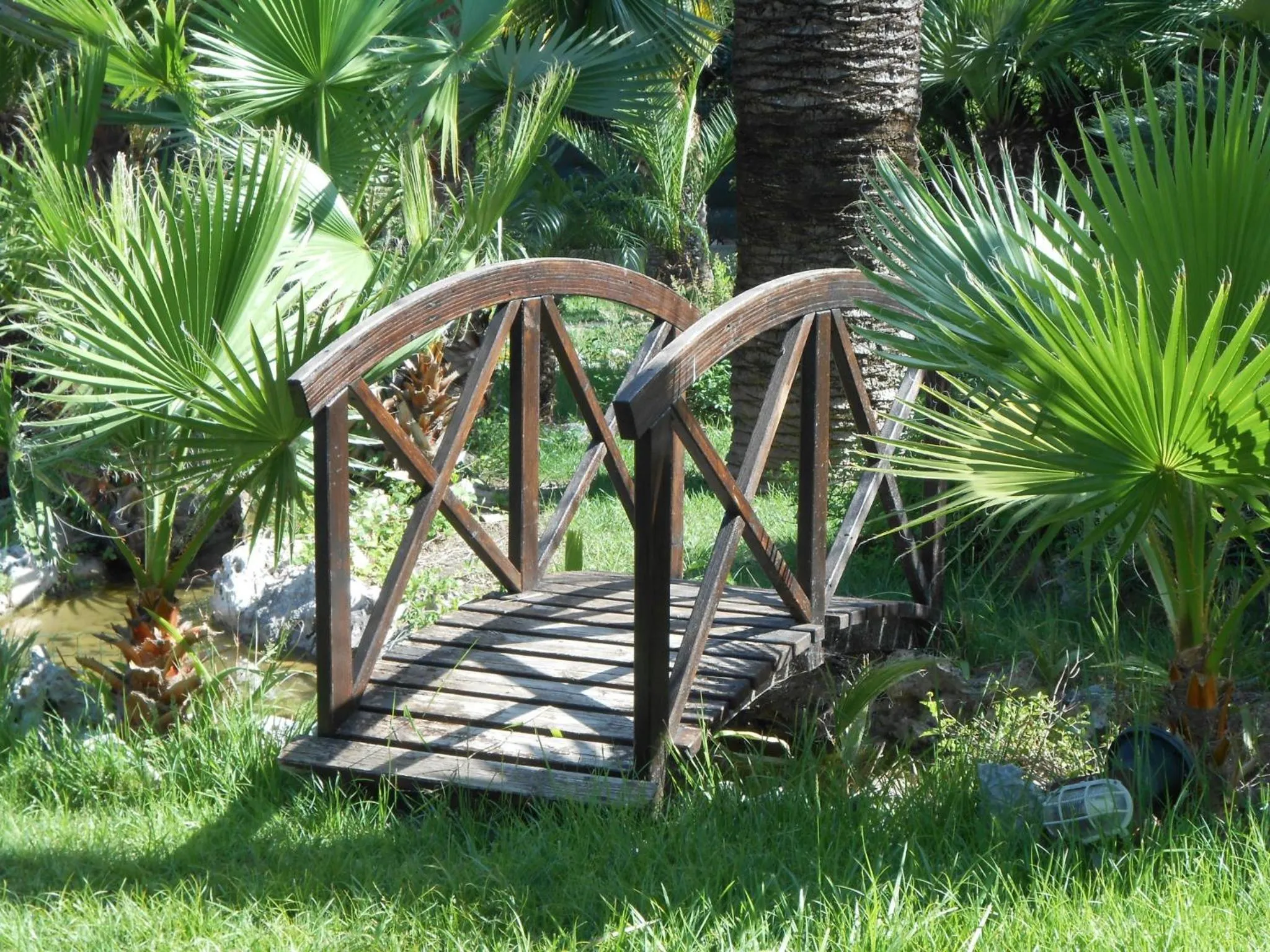 Garden in All'Ombra del Palmeto