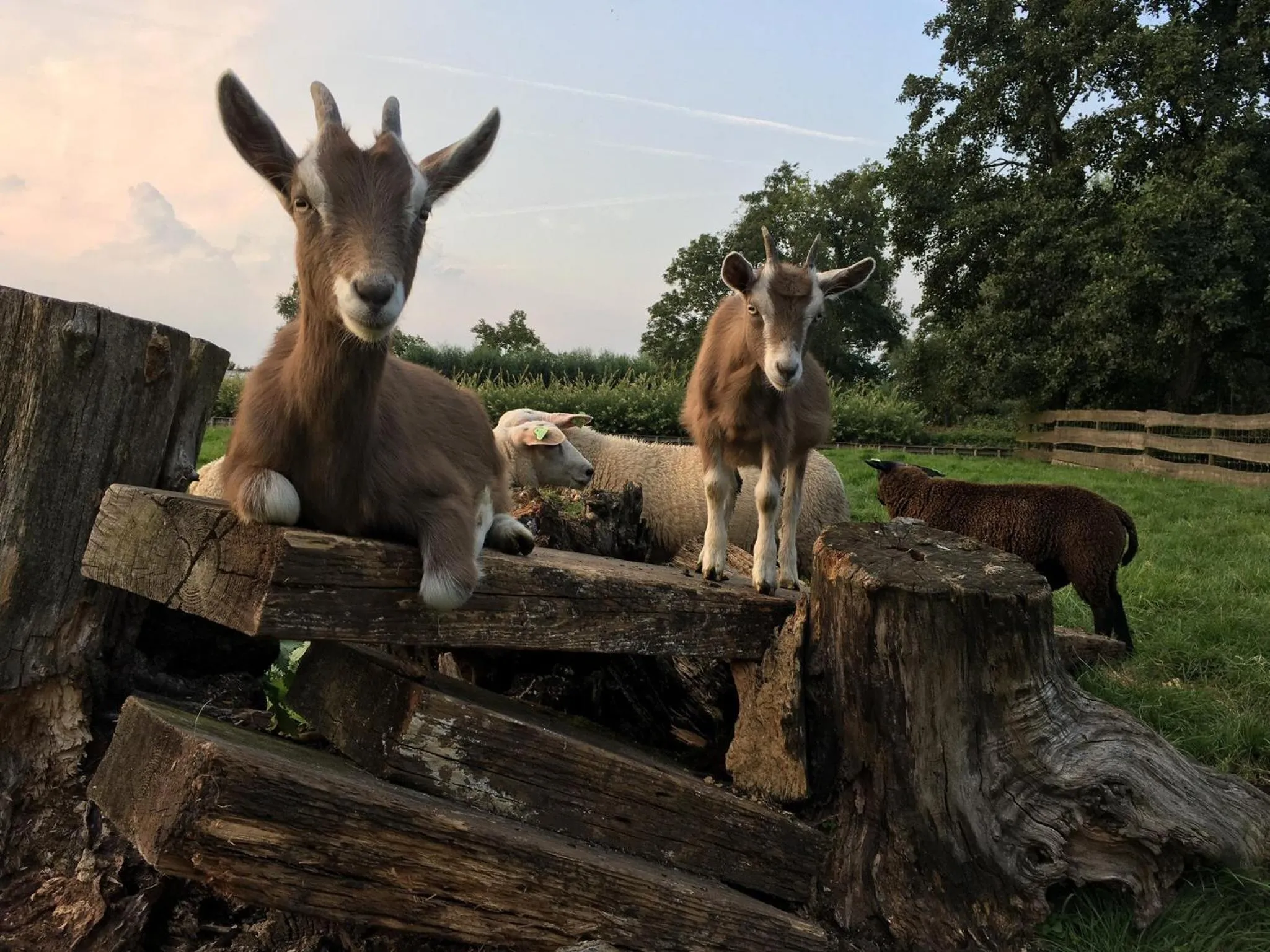 Natural landscape in Bed & Breakfast Pax Tibi