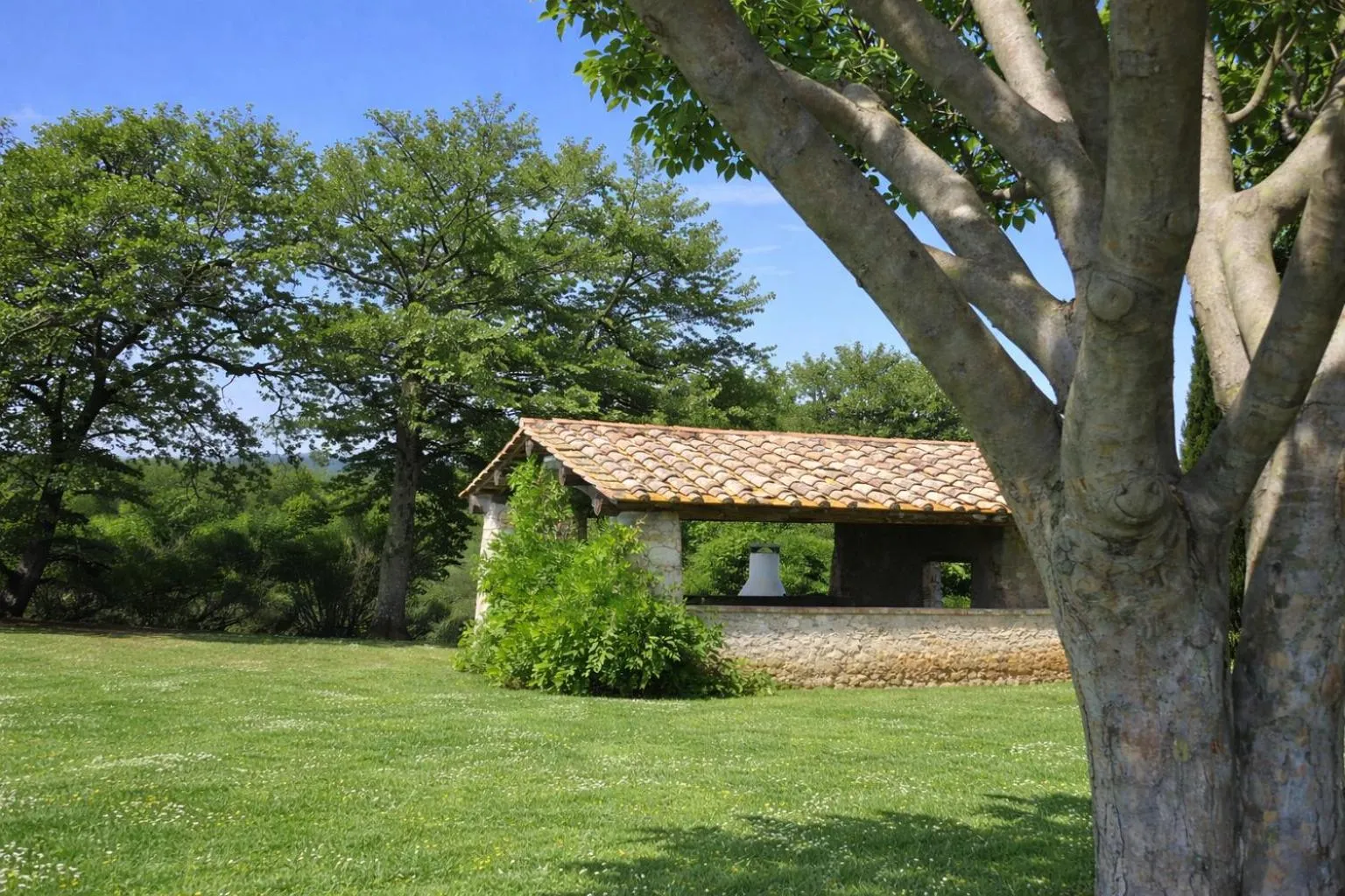 Spring in Fattoria Agriturismo Nerbona