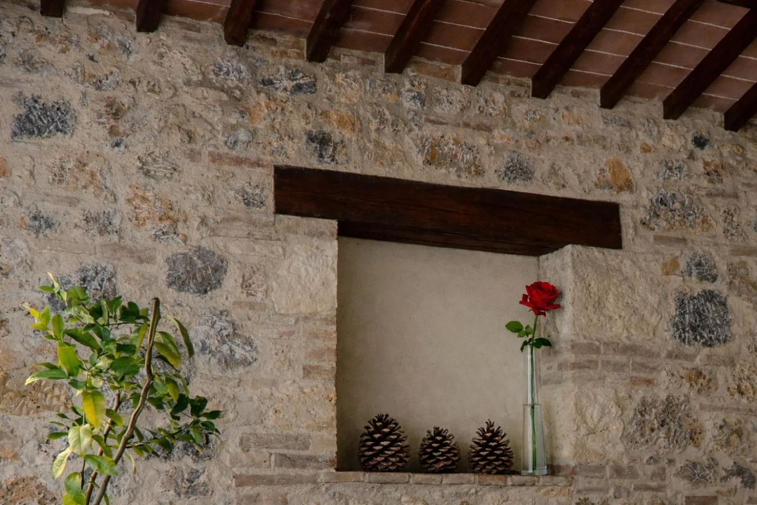 Seating area in Fattoria Agriturismo Nerbona