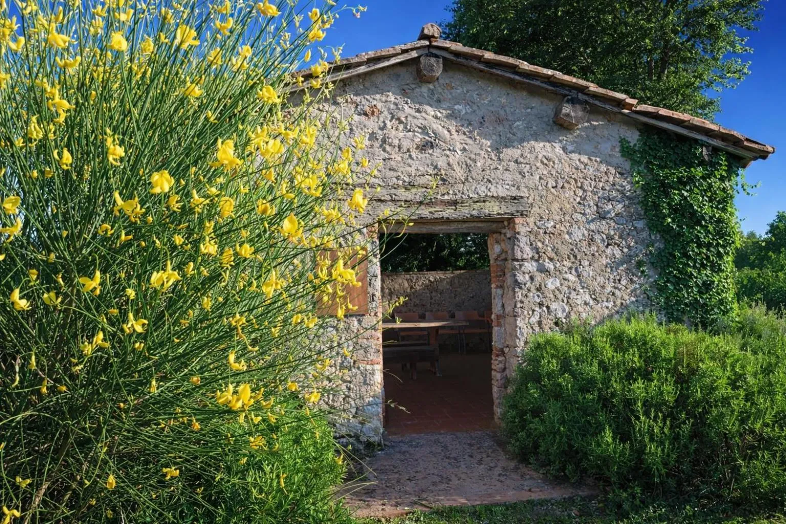 Property building in Fattoria Agriturismo Nerbona