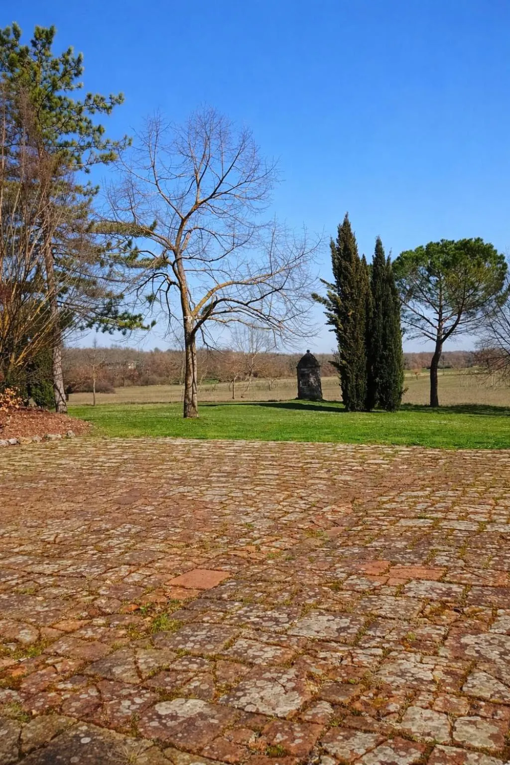 Patio in Fattoria Agriturismo Nerbona