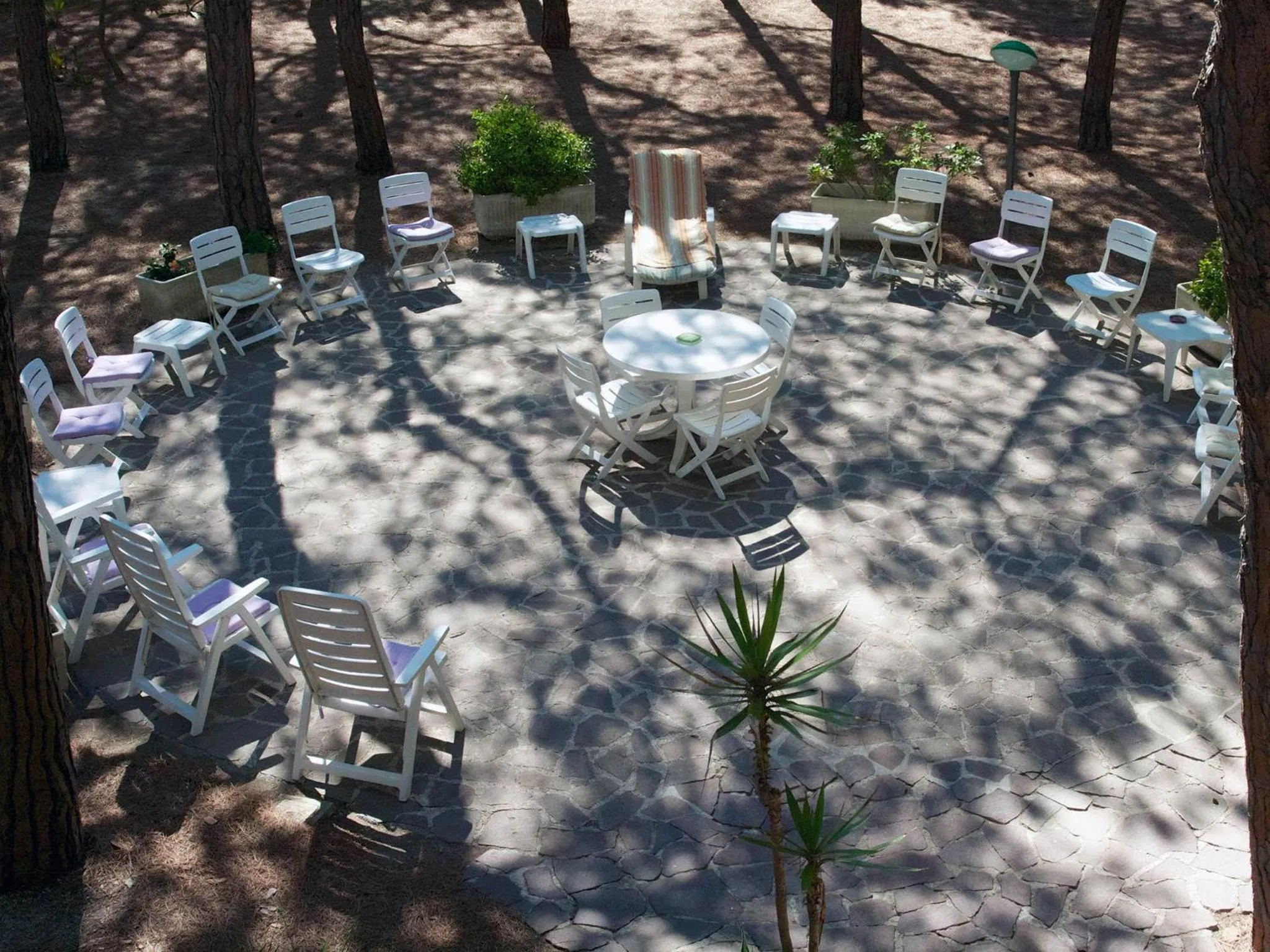 Garden in Hotel Villa Nettuno