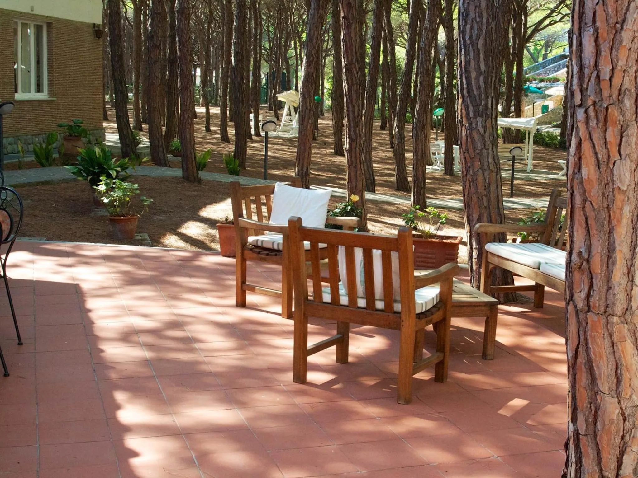 Balcony/Terrace in Hotel Villa Nettuno