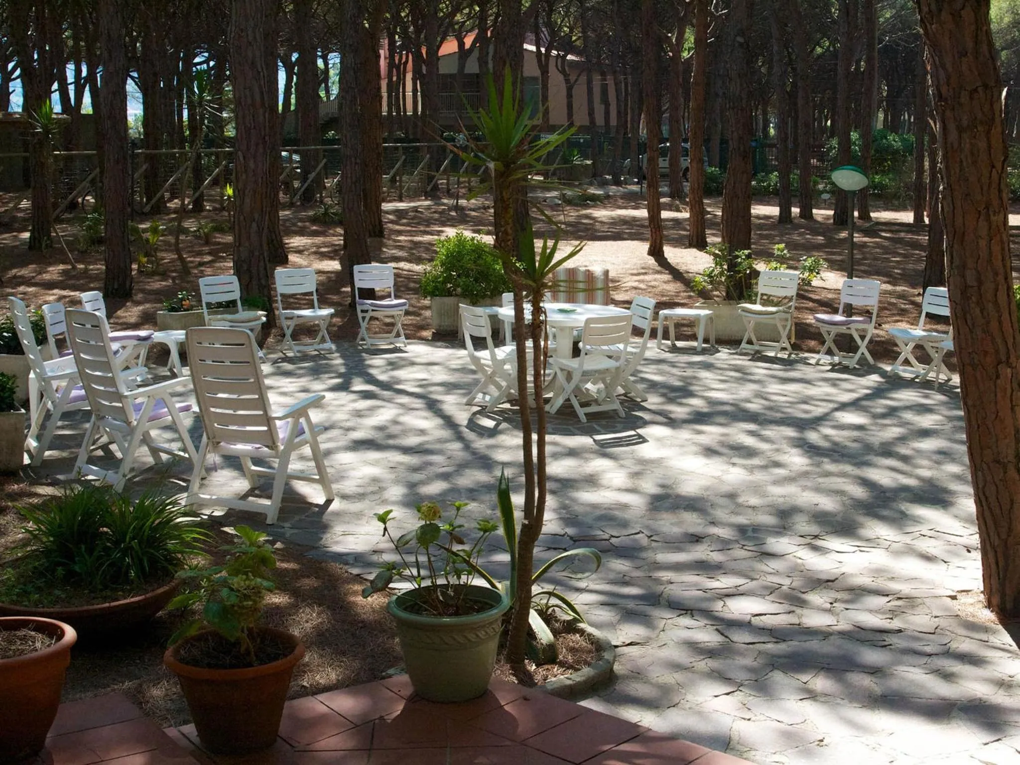 Balcony/Terrace in Hotel Villa Nettuno