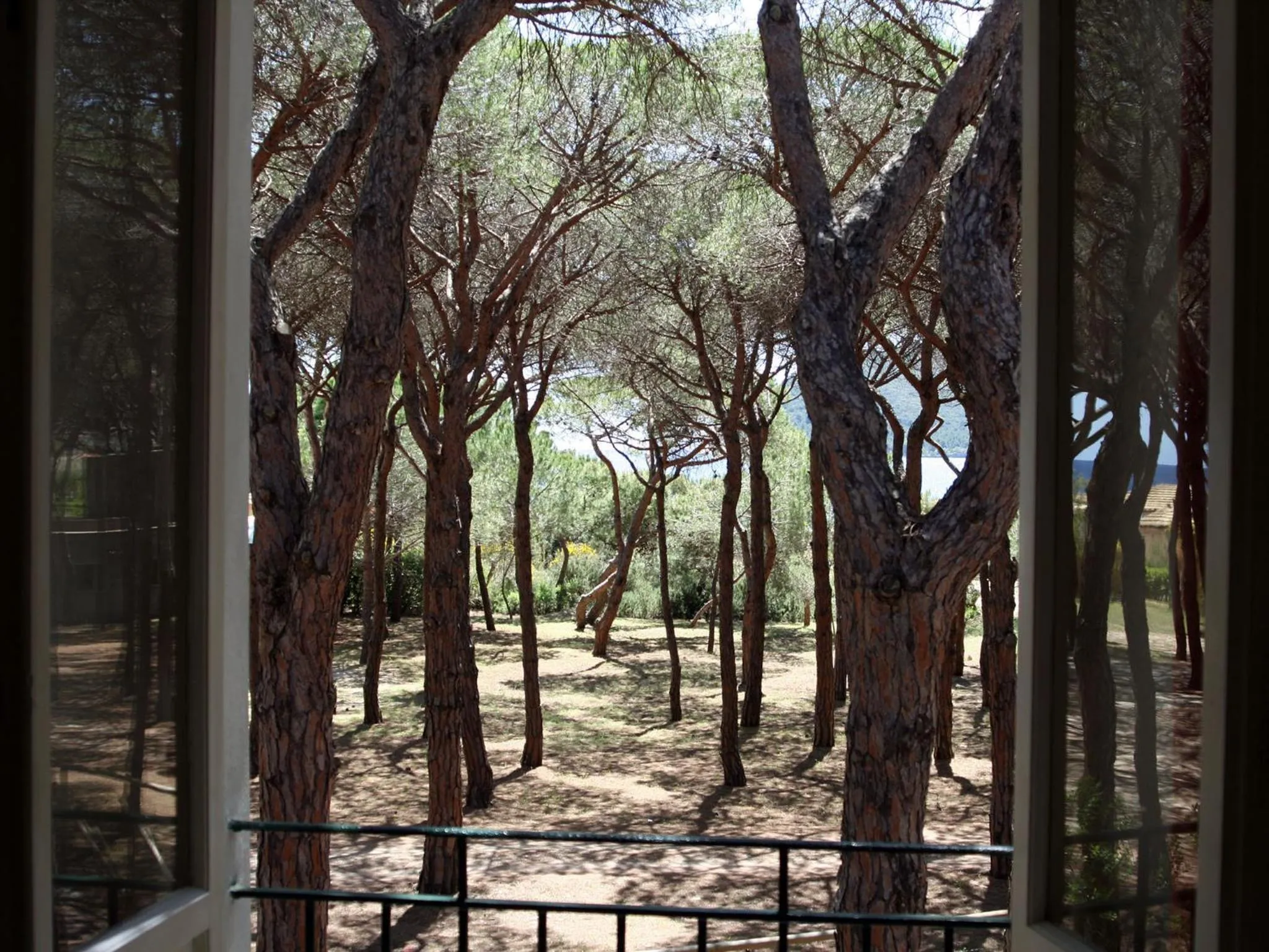 Area and facilities in Hotel Villa Nettuno