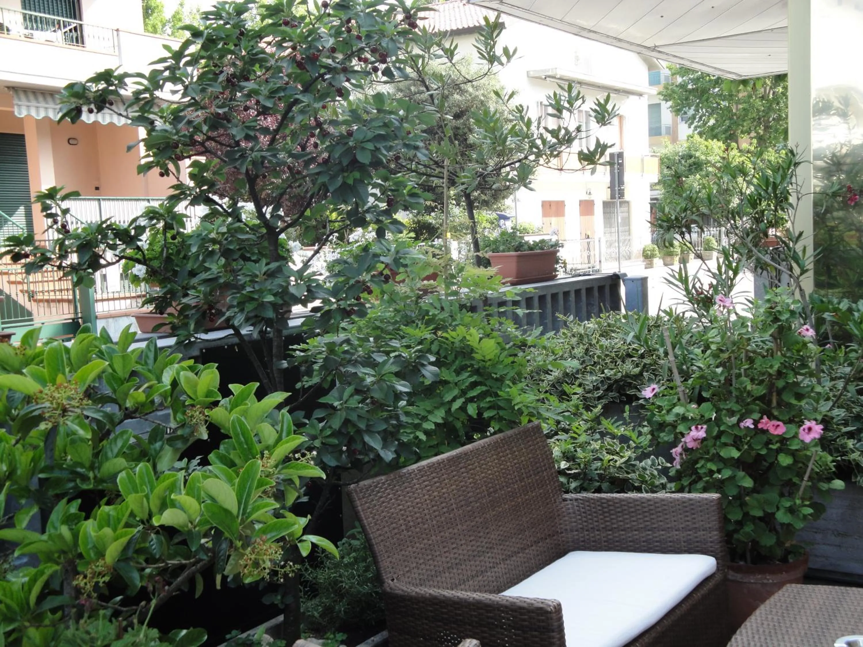 Property building in Hotel Rondinella