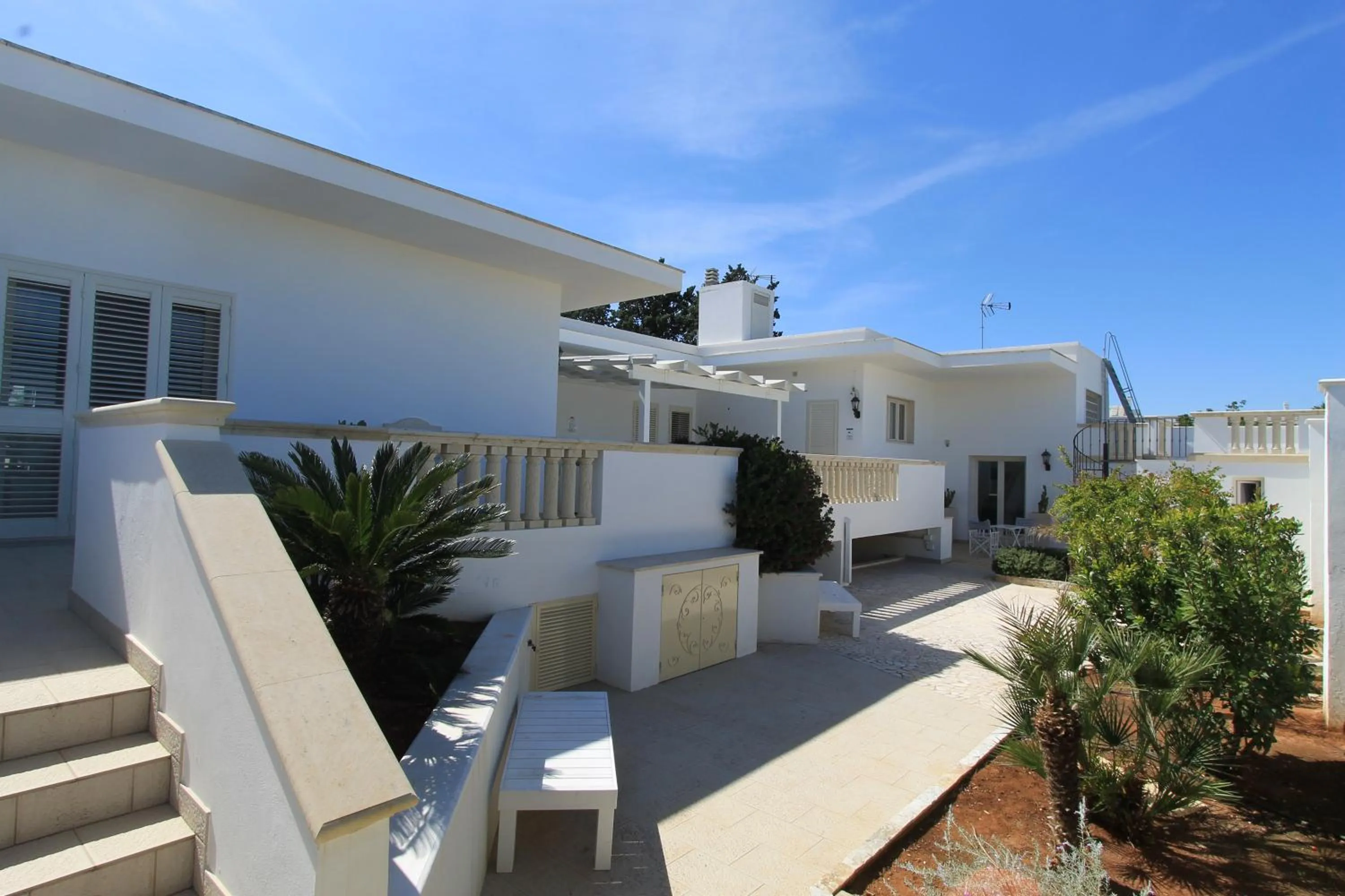 Garden in Salenthouse