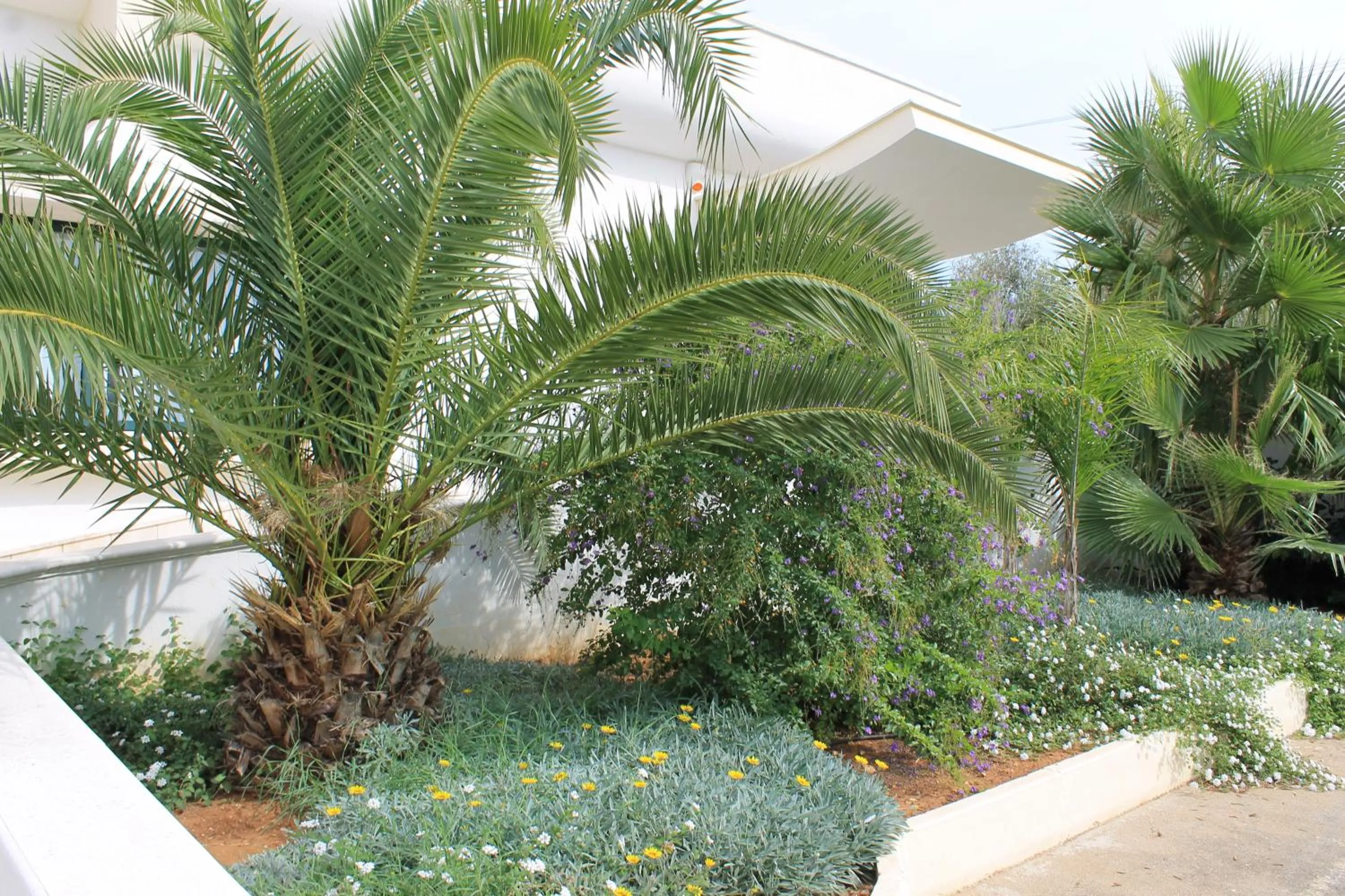 Facade/entrance in Salenthouse