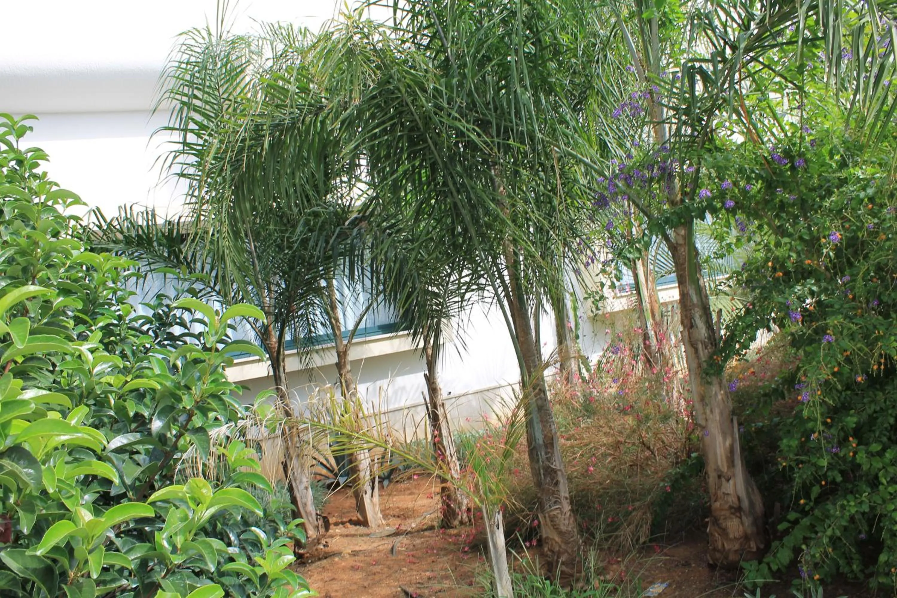 Garden in Salenthouse