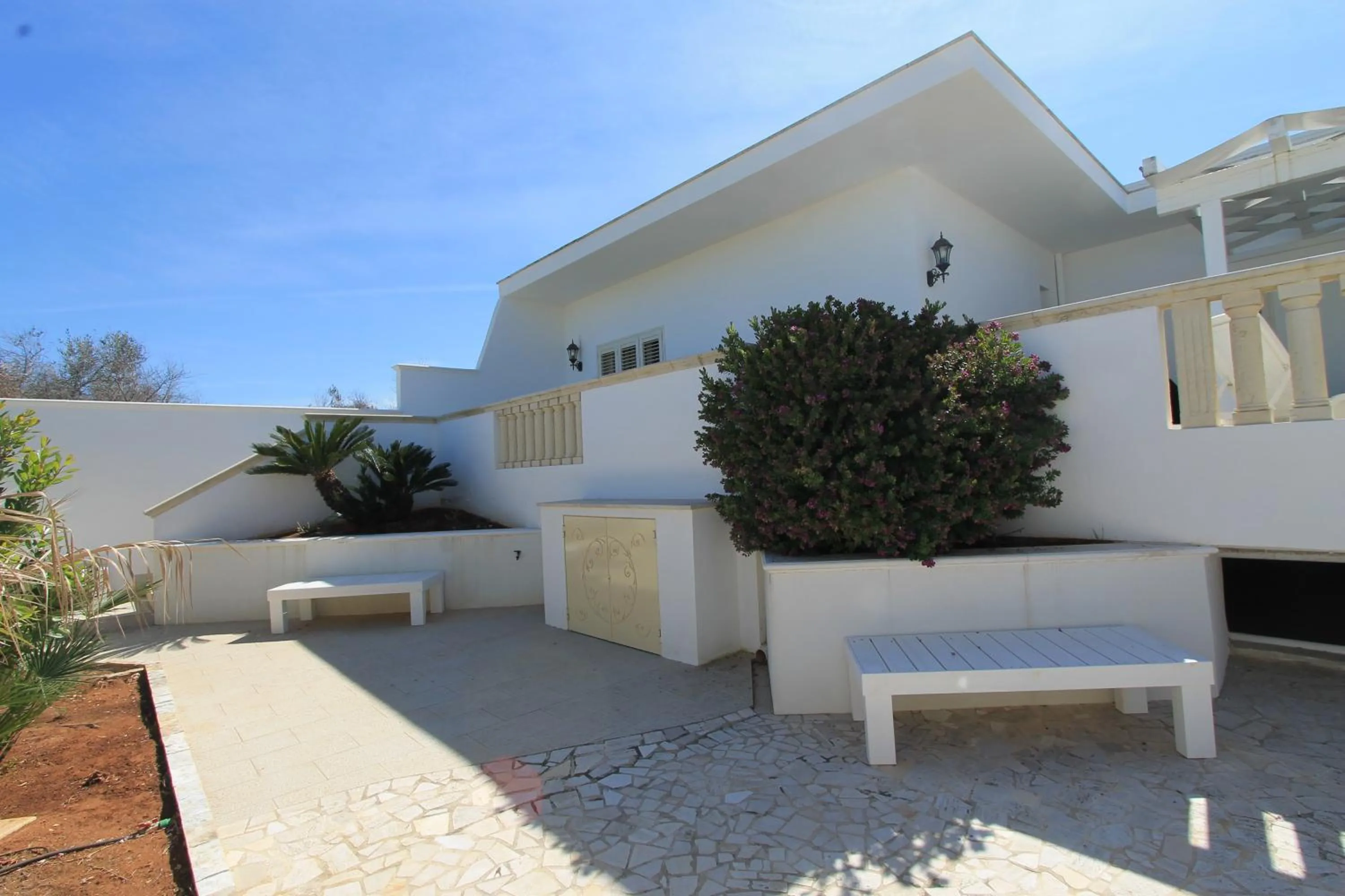 Garden in Salenthouse