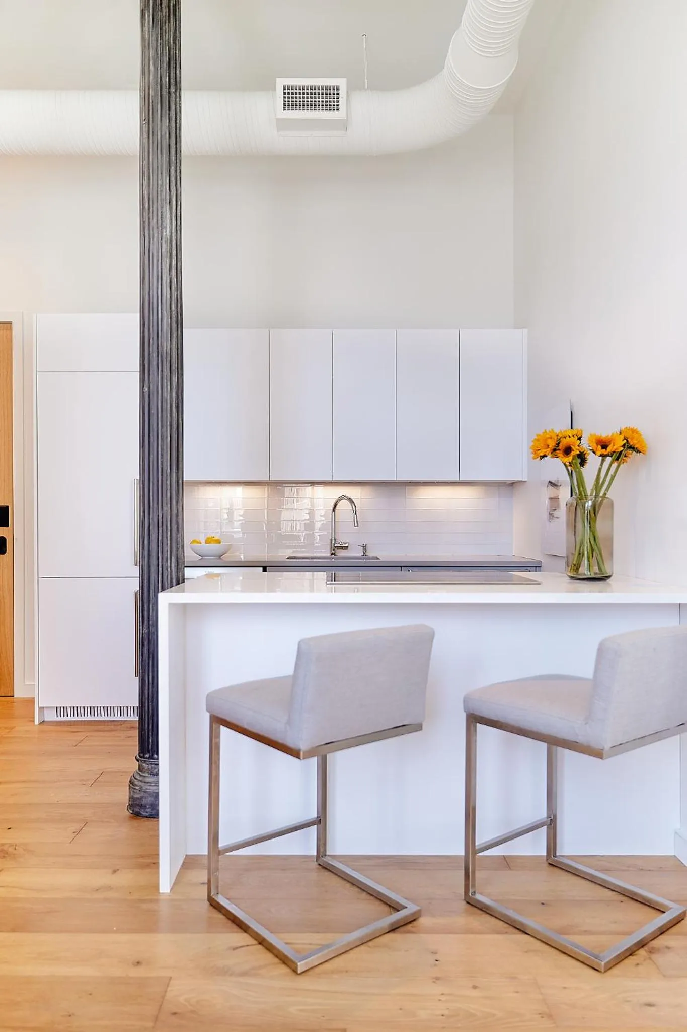 The Docent's Collection