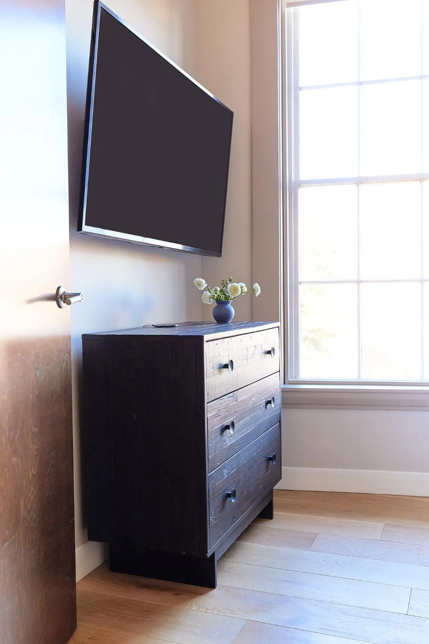 The Docent's Collection