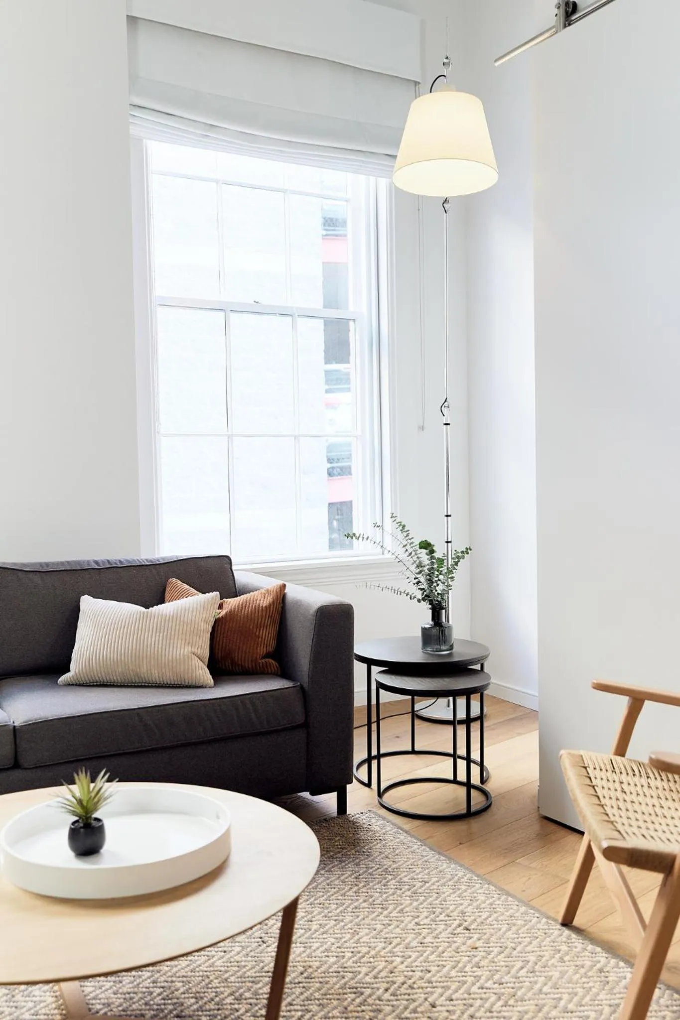 The Docent's Collection