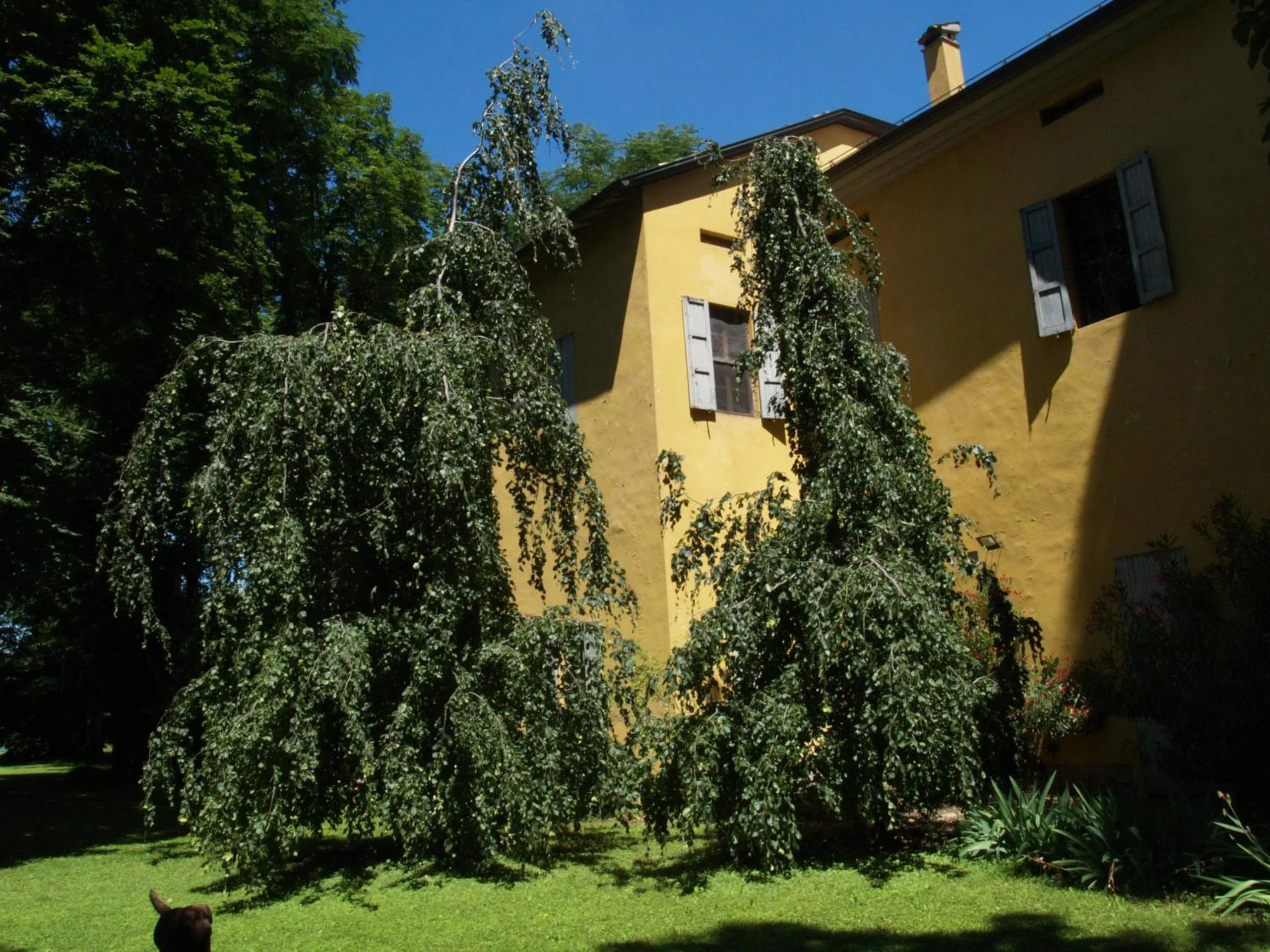 Property building in Villa Ghia Appartamento