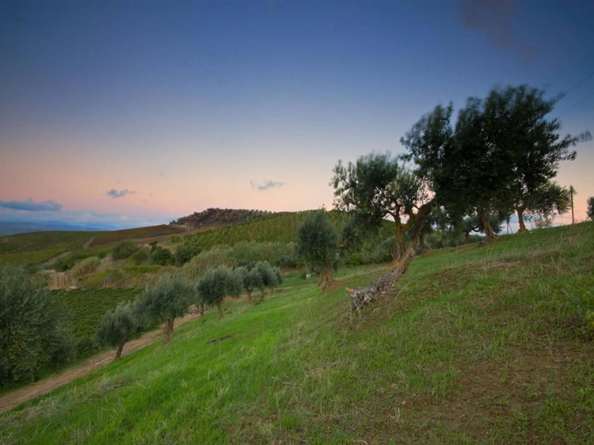 Natural landscape in Agriturismo Sirignano Wine Resort