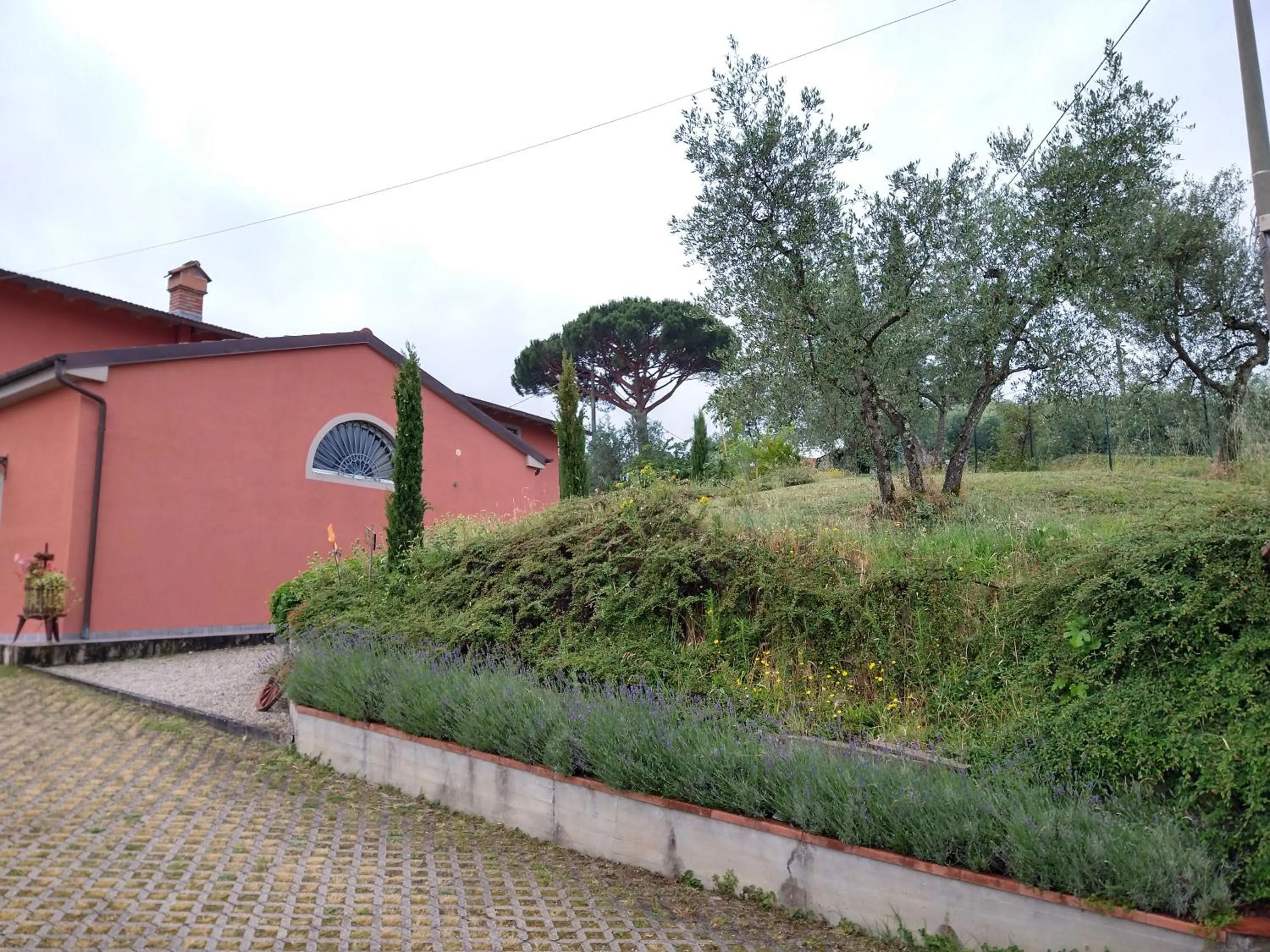 Olivia B&B and Apartment