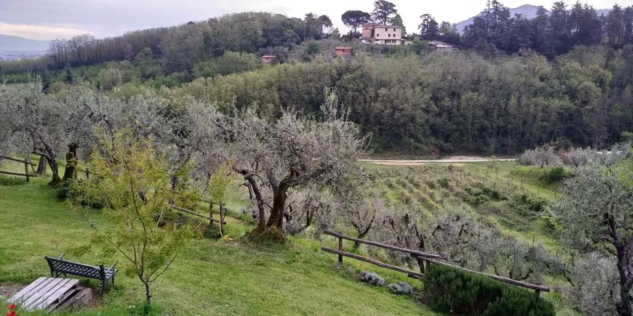 Olivia B&B and Apartment