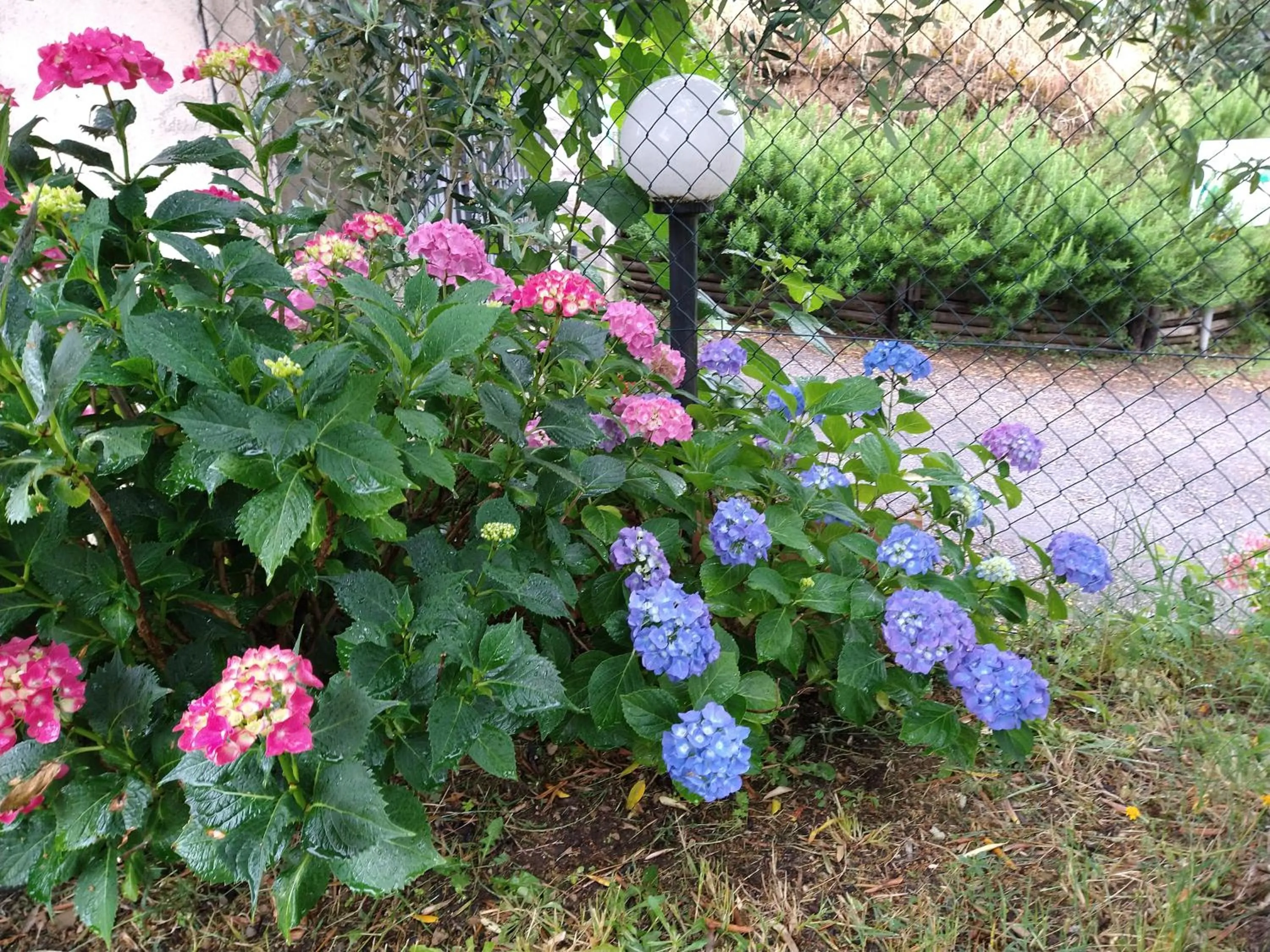 Olivia B&B and Apartment