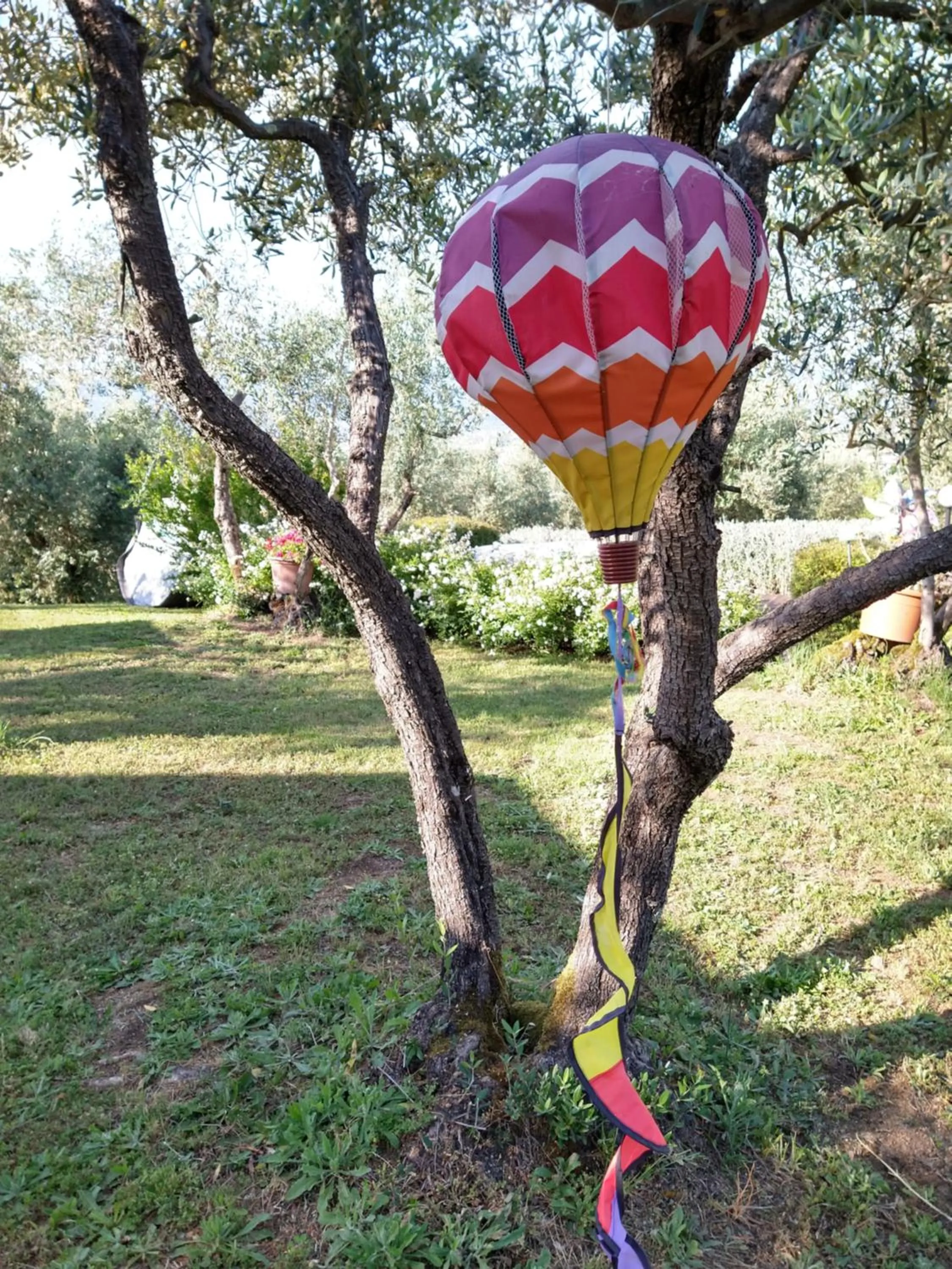 Olivia B&B and Apartment