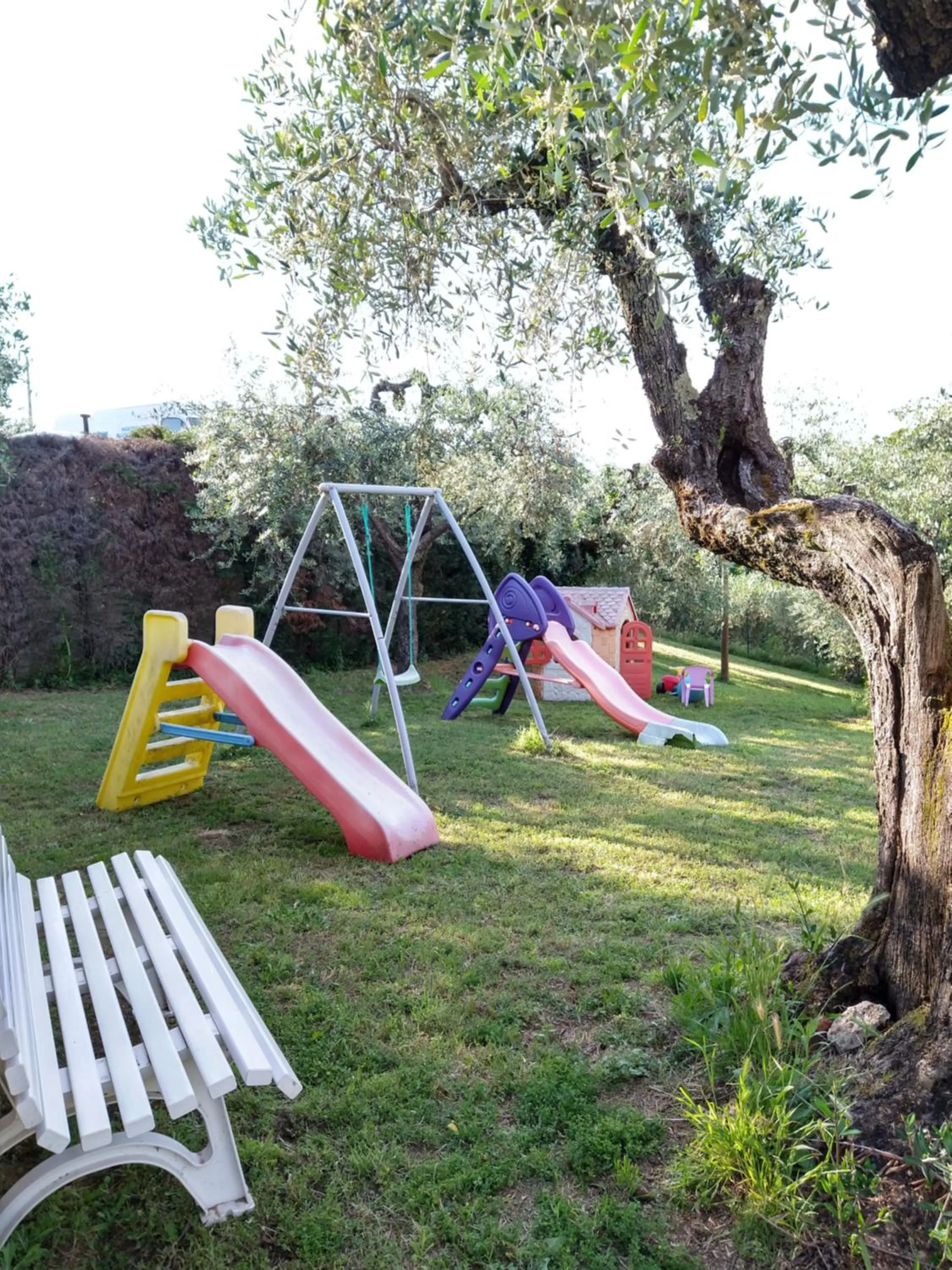 Olivia B&B and Apartment