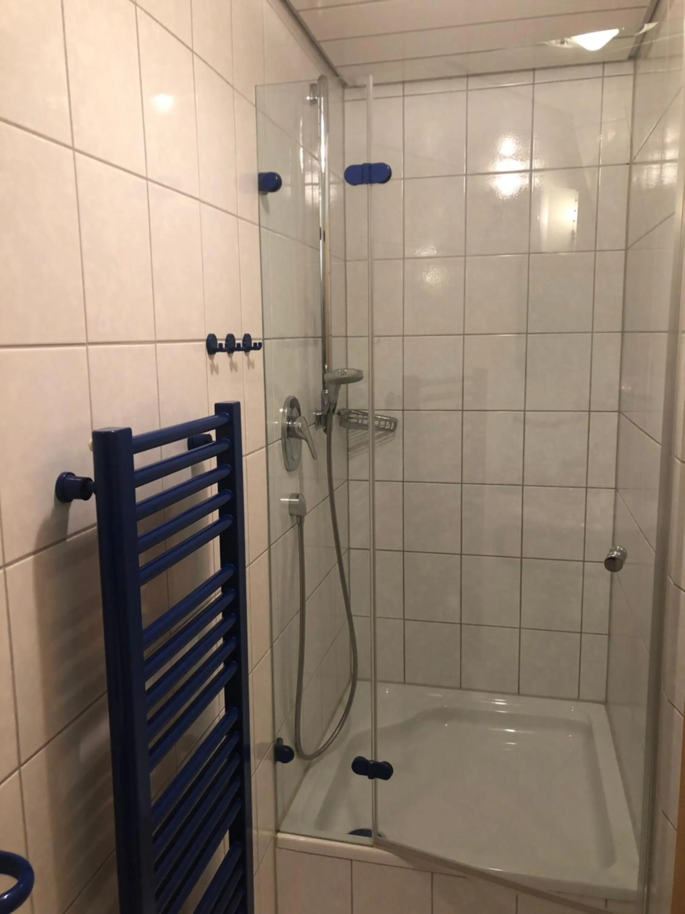 Bathroom in Gasthof zum Hirsch