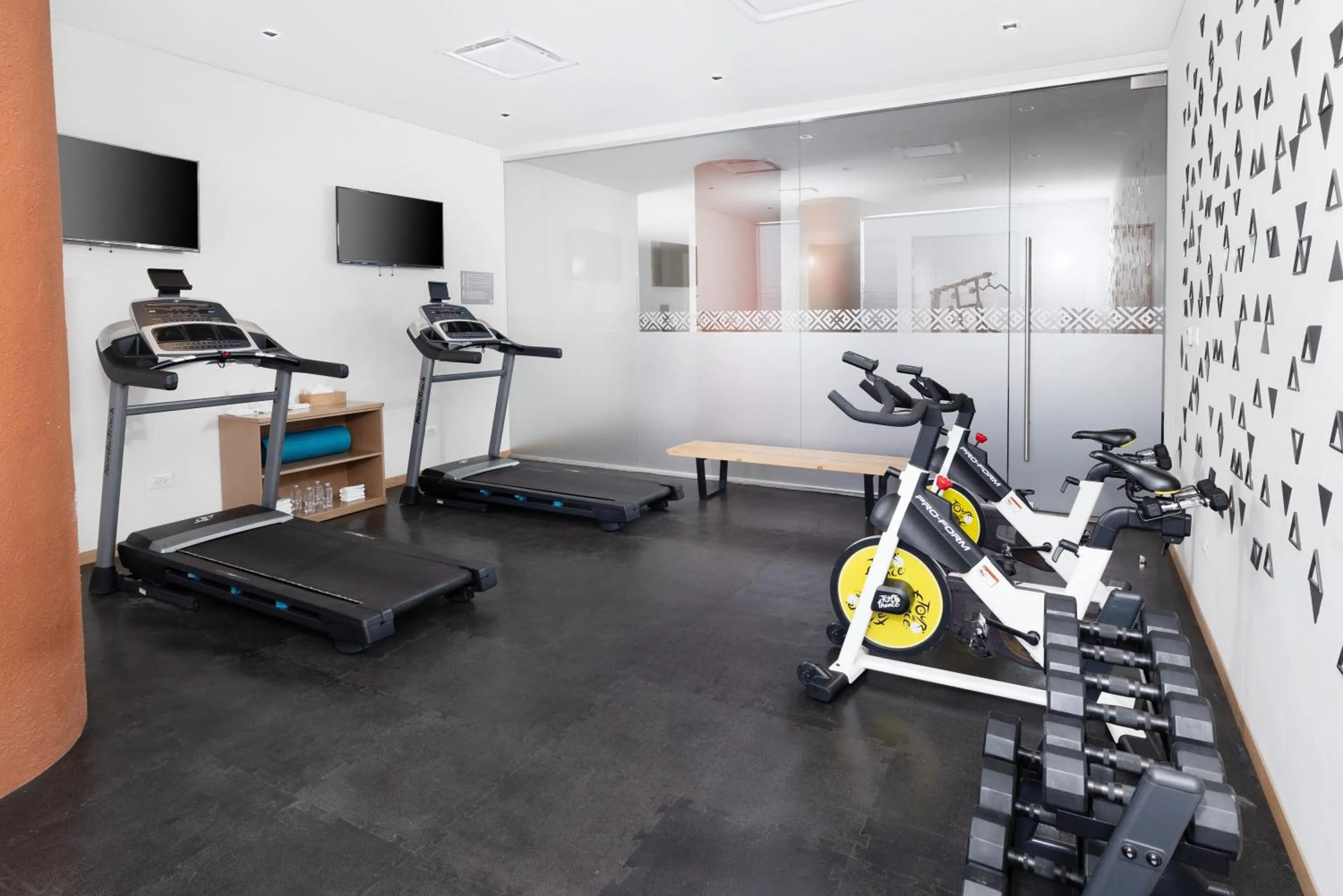 Fitness centre/facilities in Hotel México Plaza Querétaro