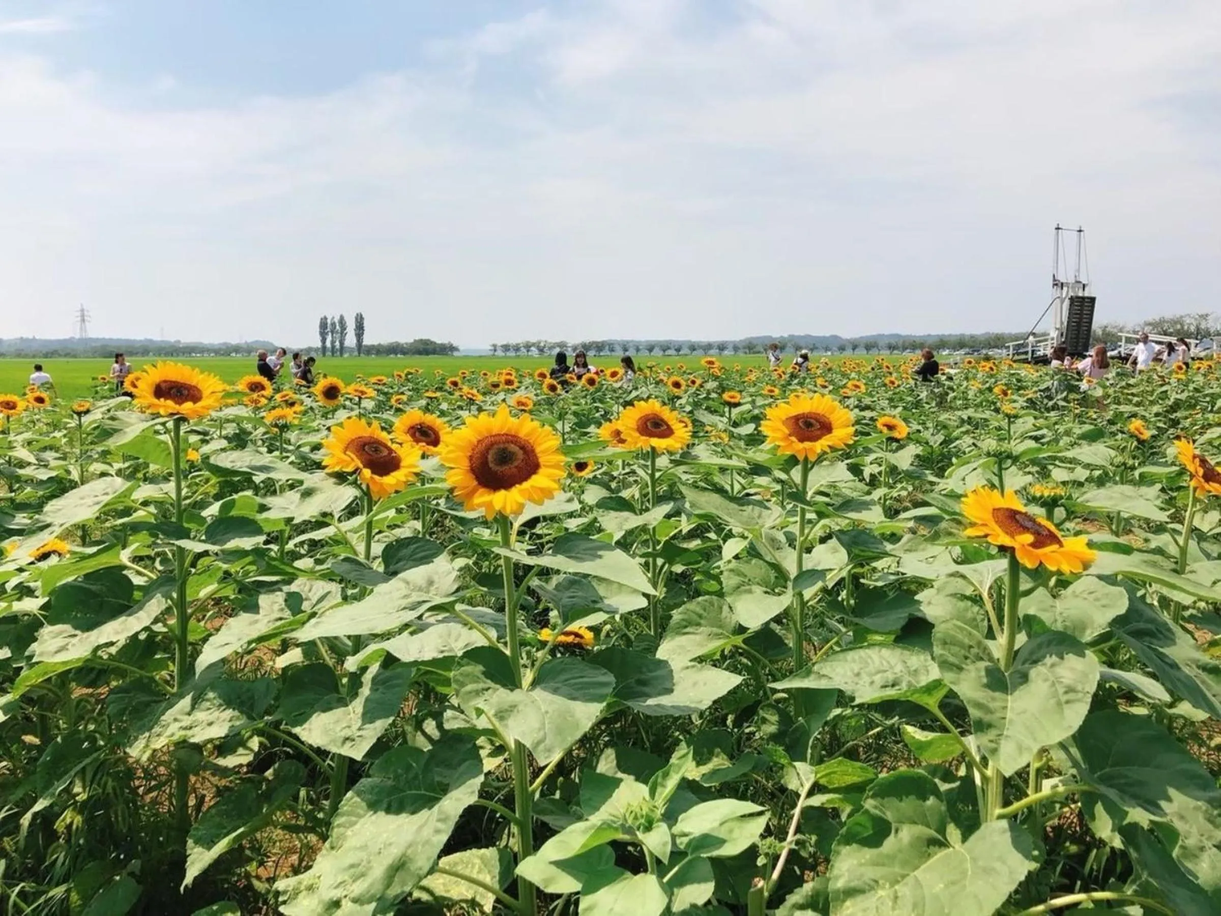 Day in Vessel Inn Keisei Tsudanuma Ekimae