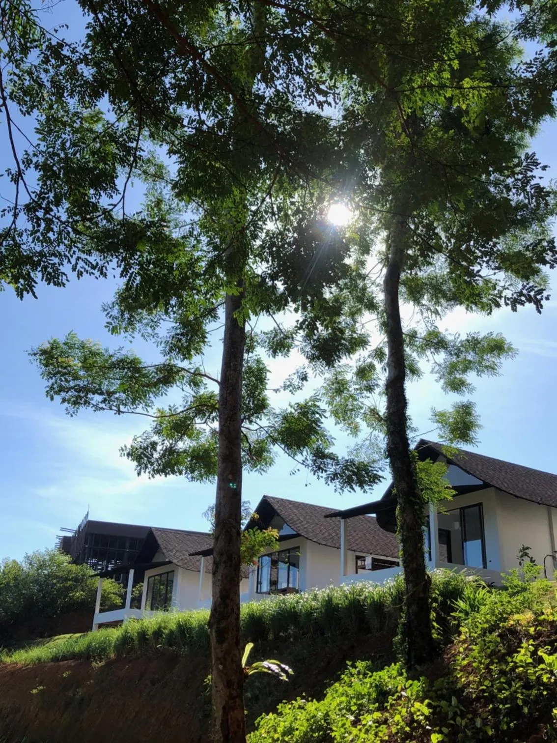 Property building in Little Moon Villa