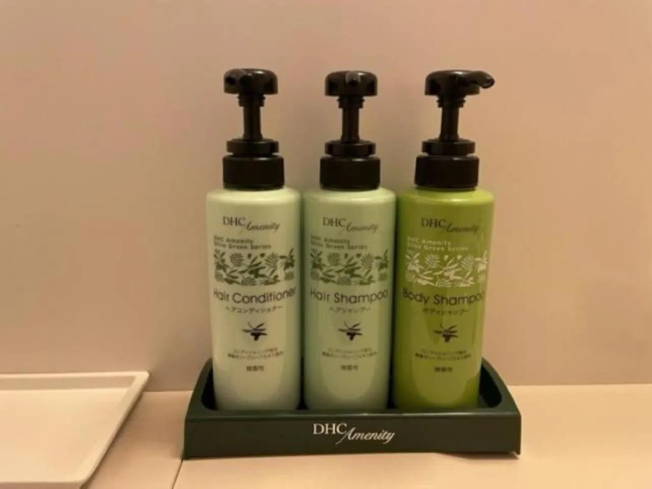 Bathroom in Garden Hotel Matsumoto