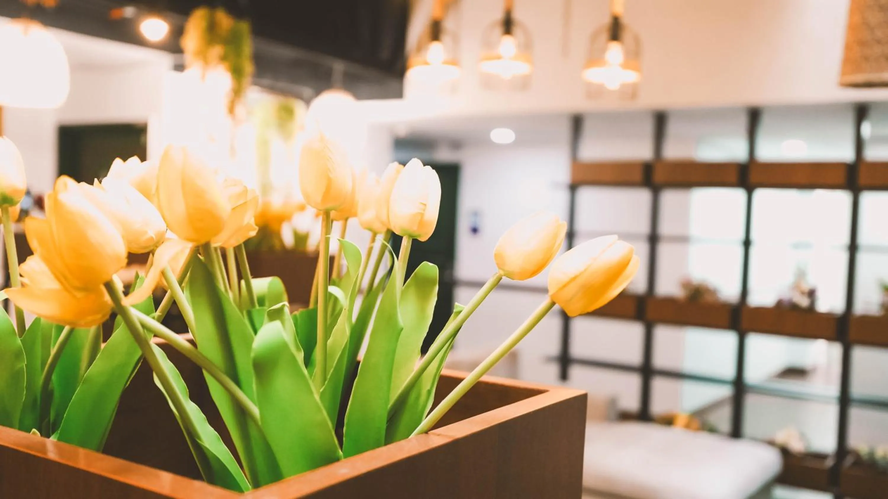 Decorative detail in East Riverine Boutique Hotel