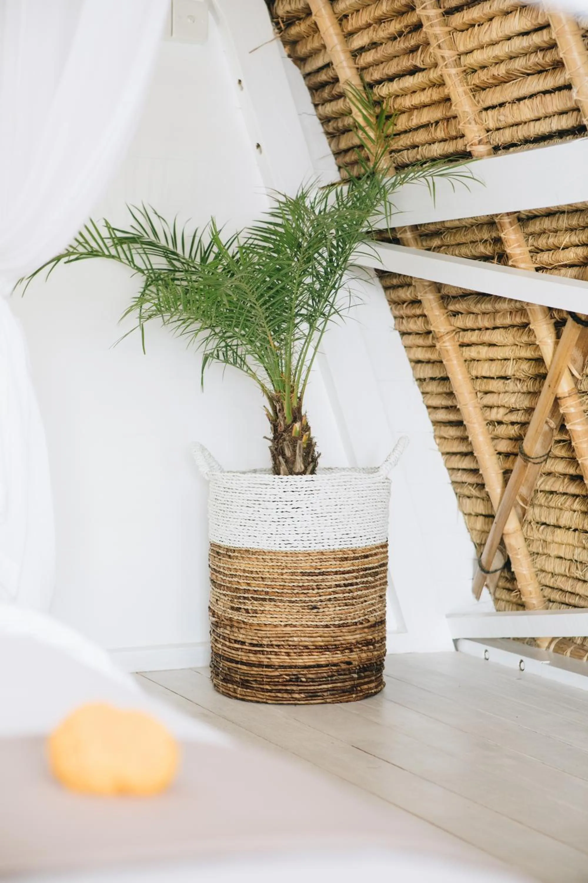 Decorative detail in White Tortoise Eco Villa's