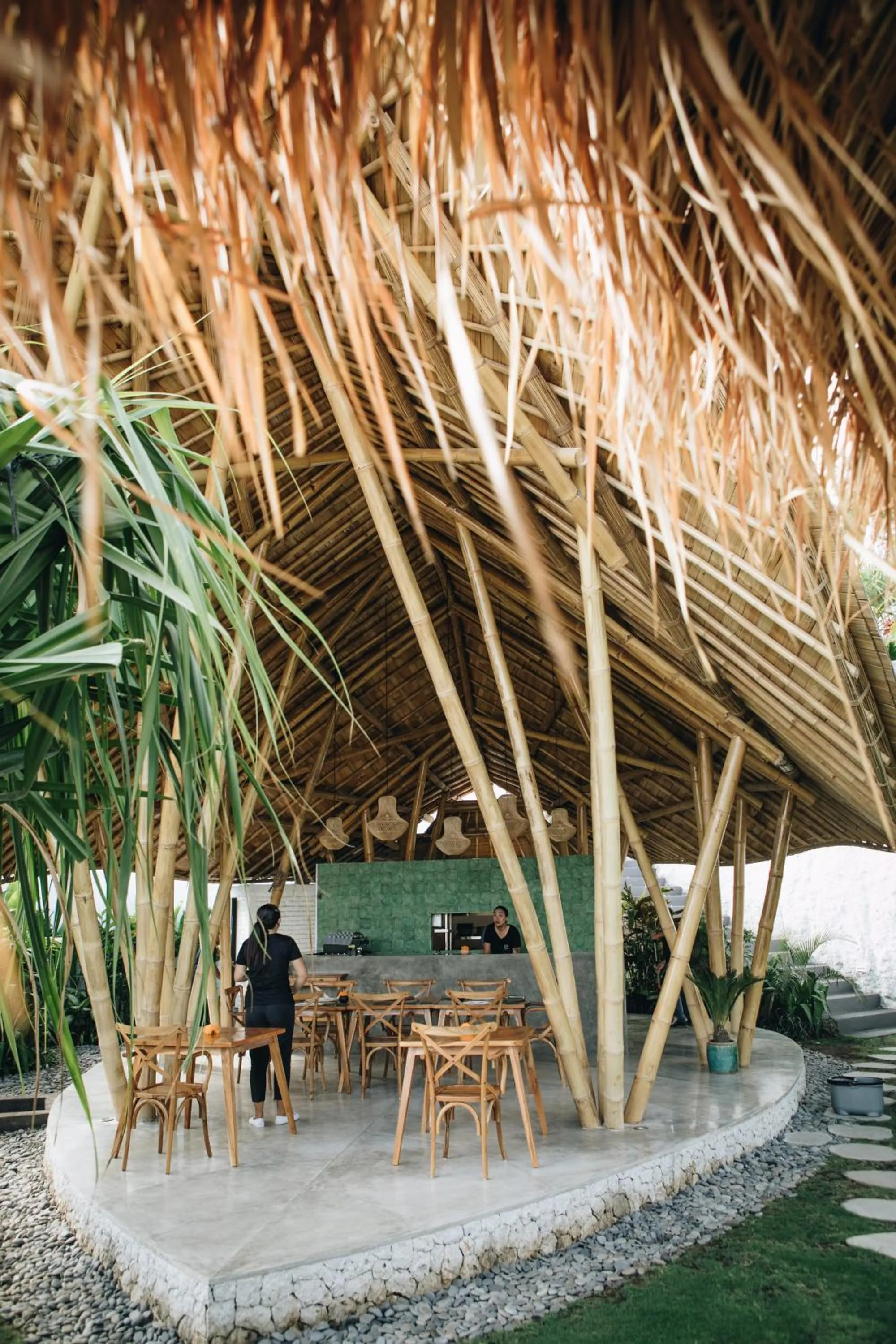 Restaurant/places to eat in White Tortoise Eco Villa's