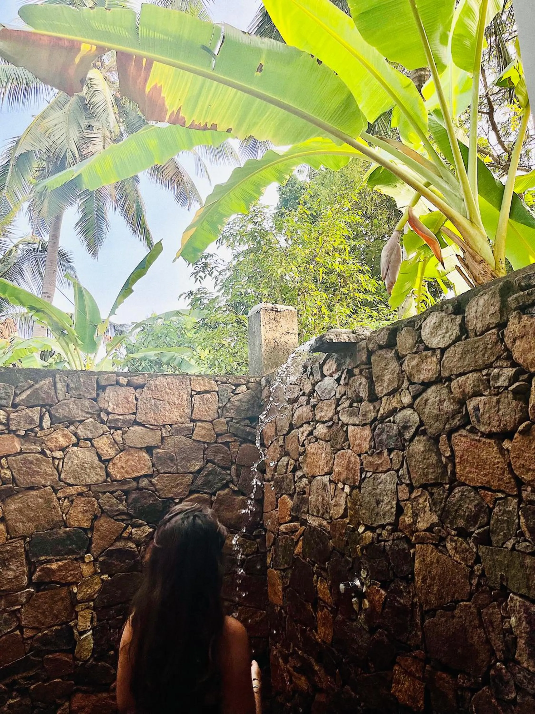 Mango Tree House