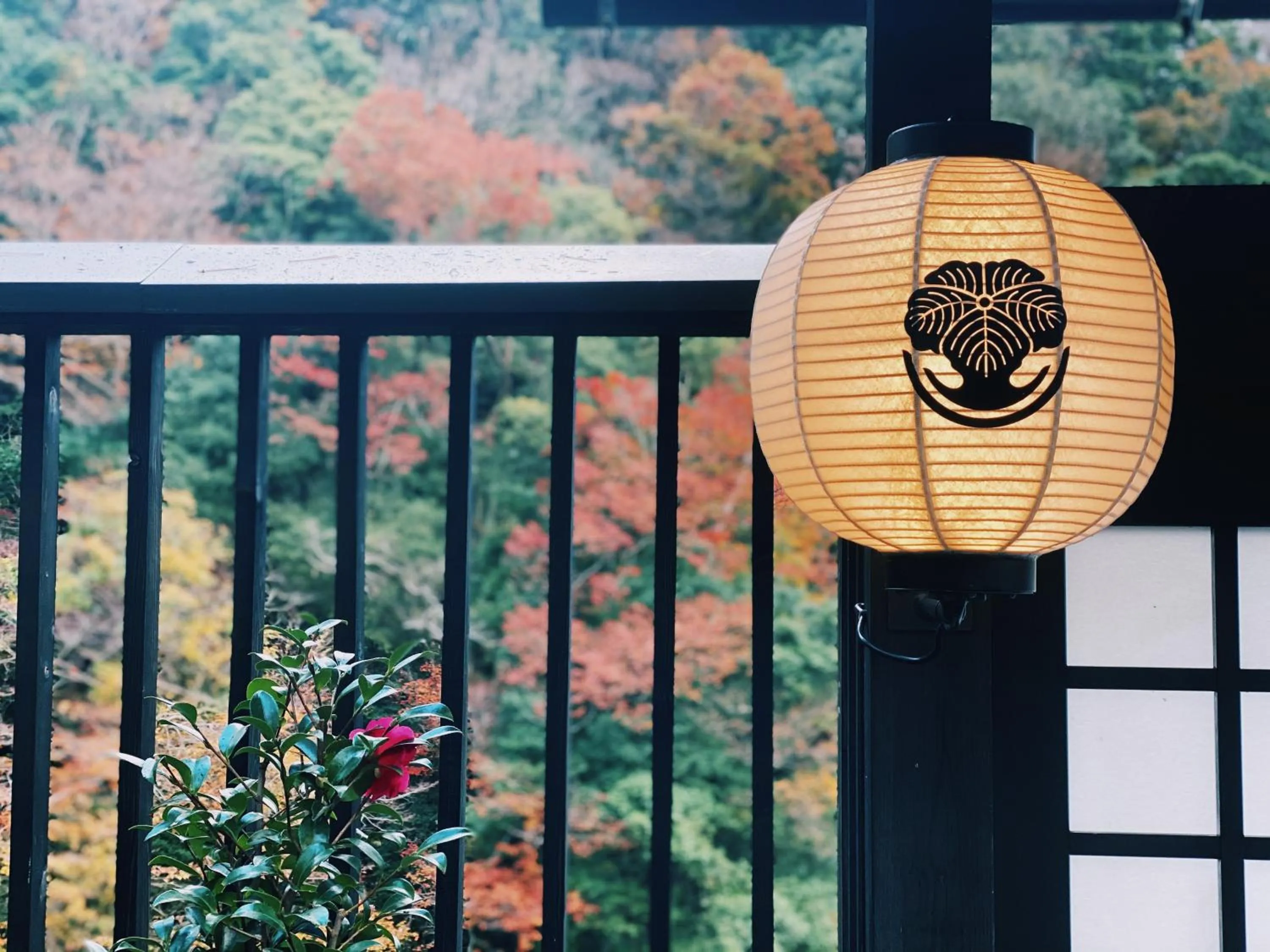 Onsen Guest House Tsutaya