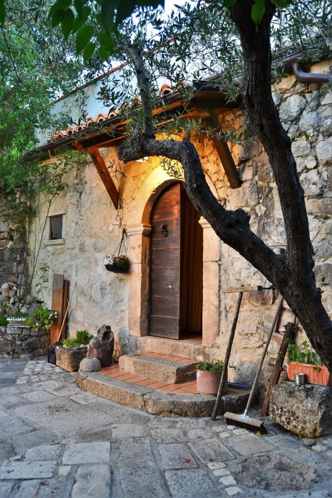 Fattoria La Tana della Volpe