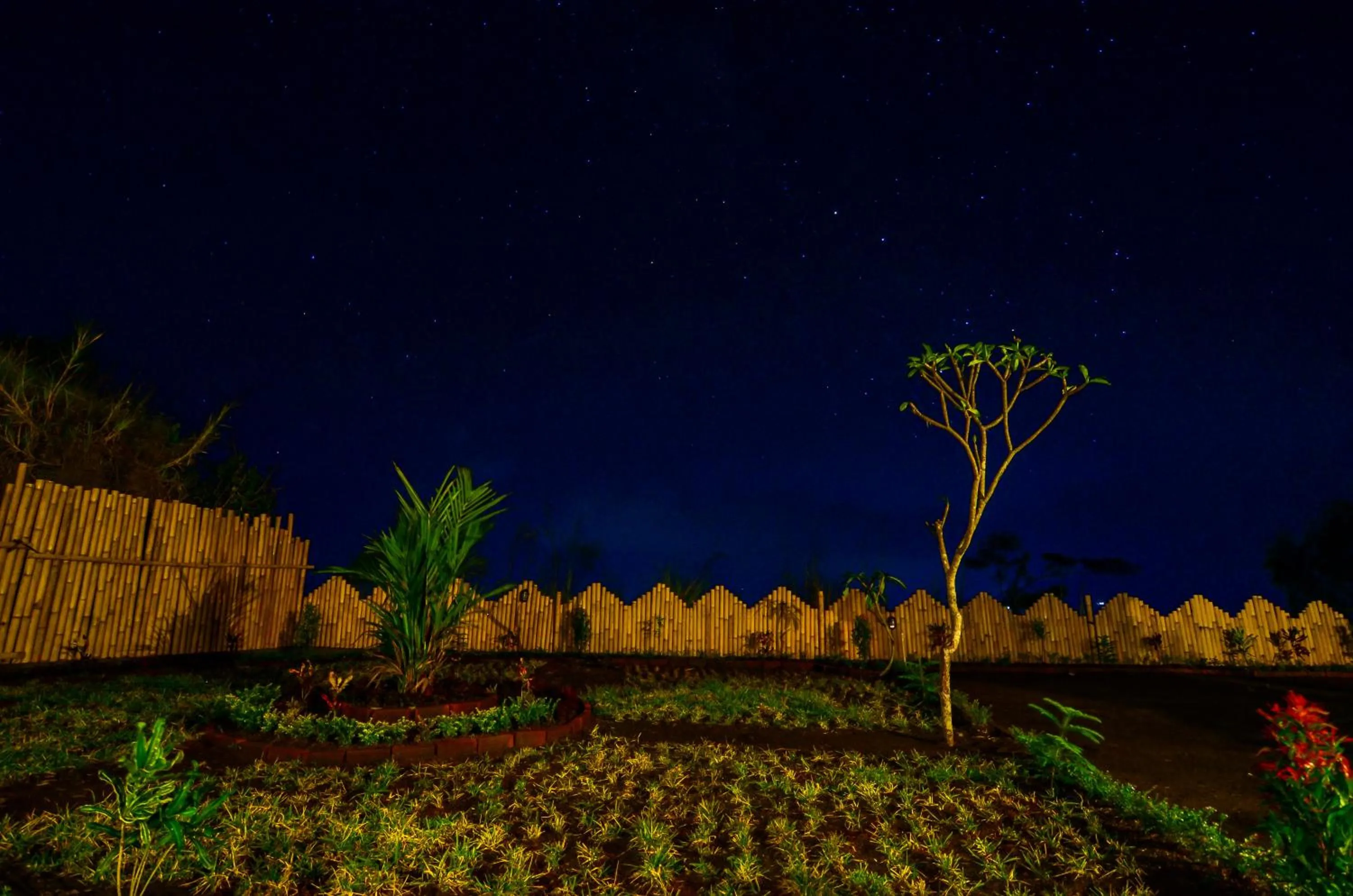 View (from property/room) in Batur lake view