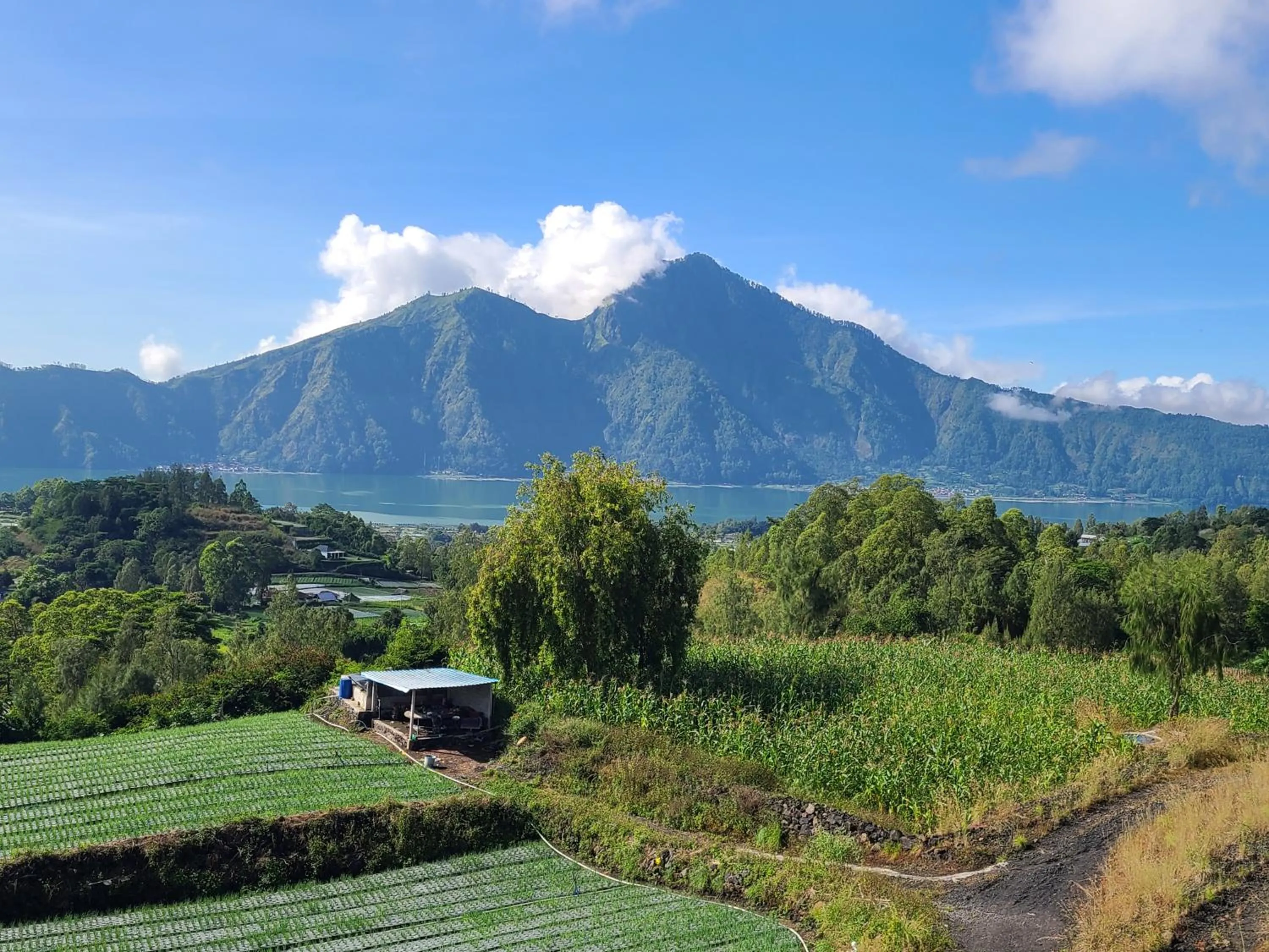 Natural landscape in Batur lake view