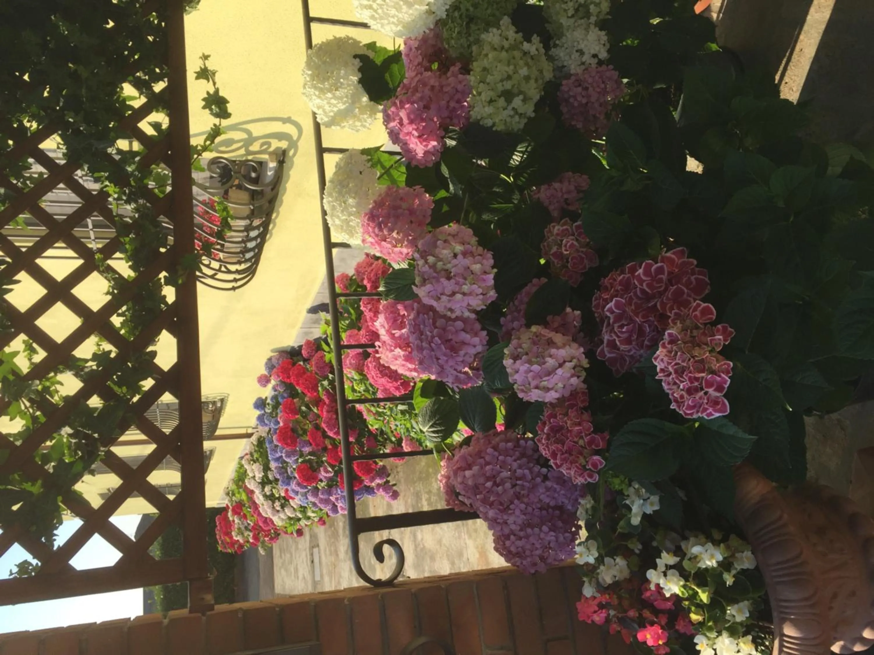 Albergo Il Gufo