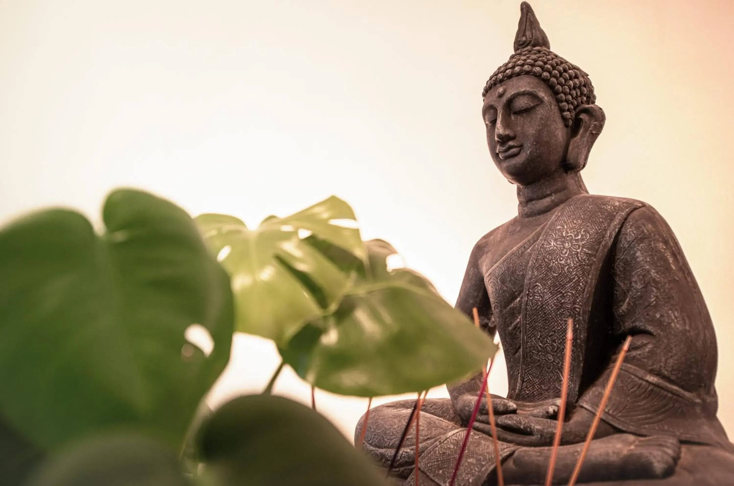 Fitness centre/facilities in Wandery Hostel Dessau Fitness centre/facilities in Wandery Hostel Dessau